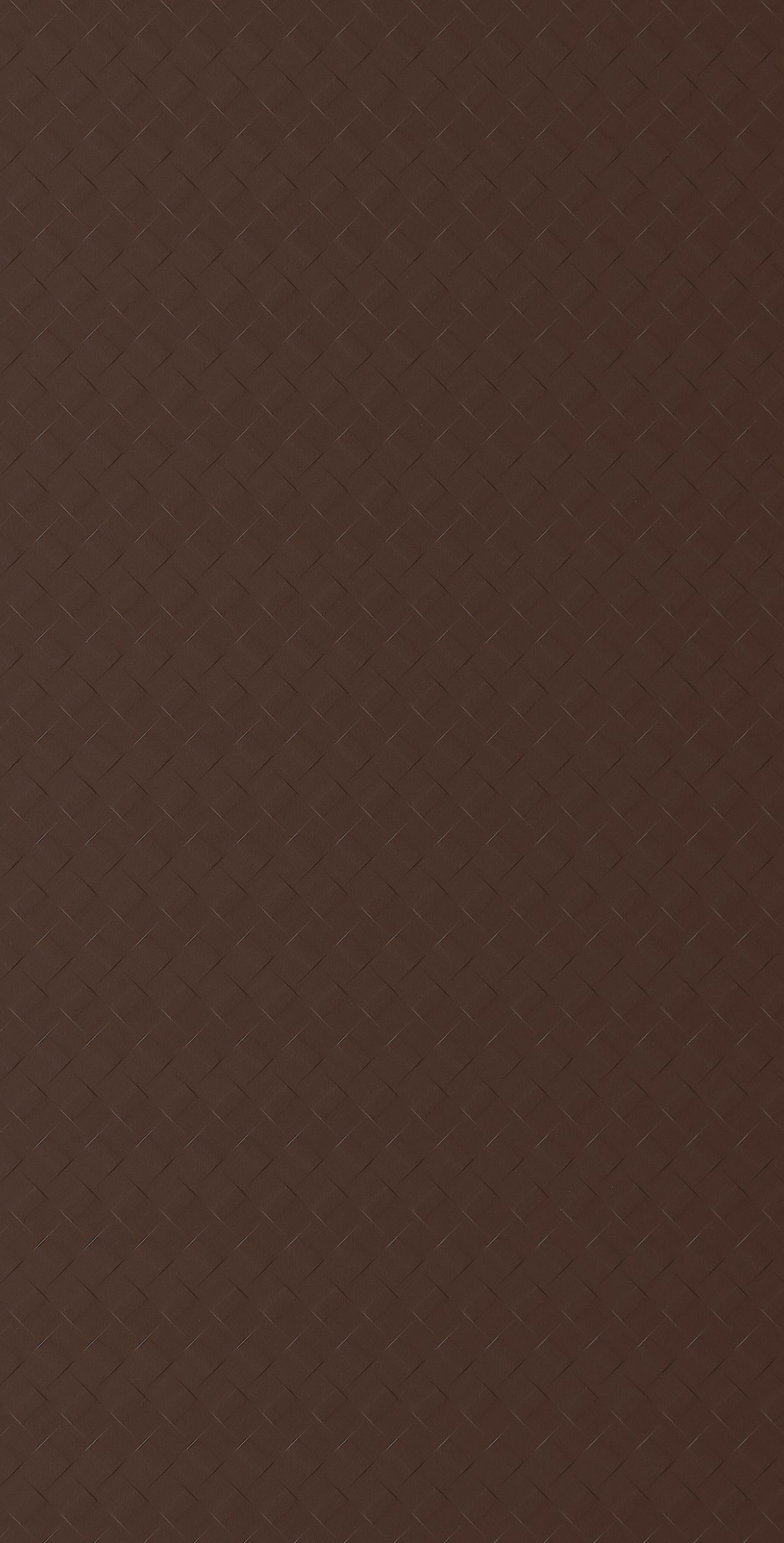 Walnut Treccia