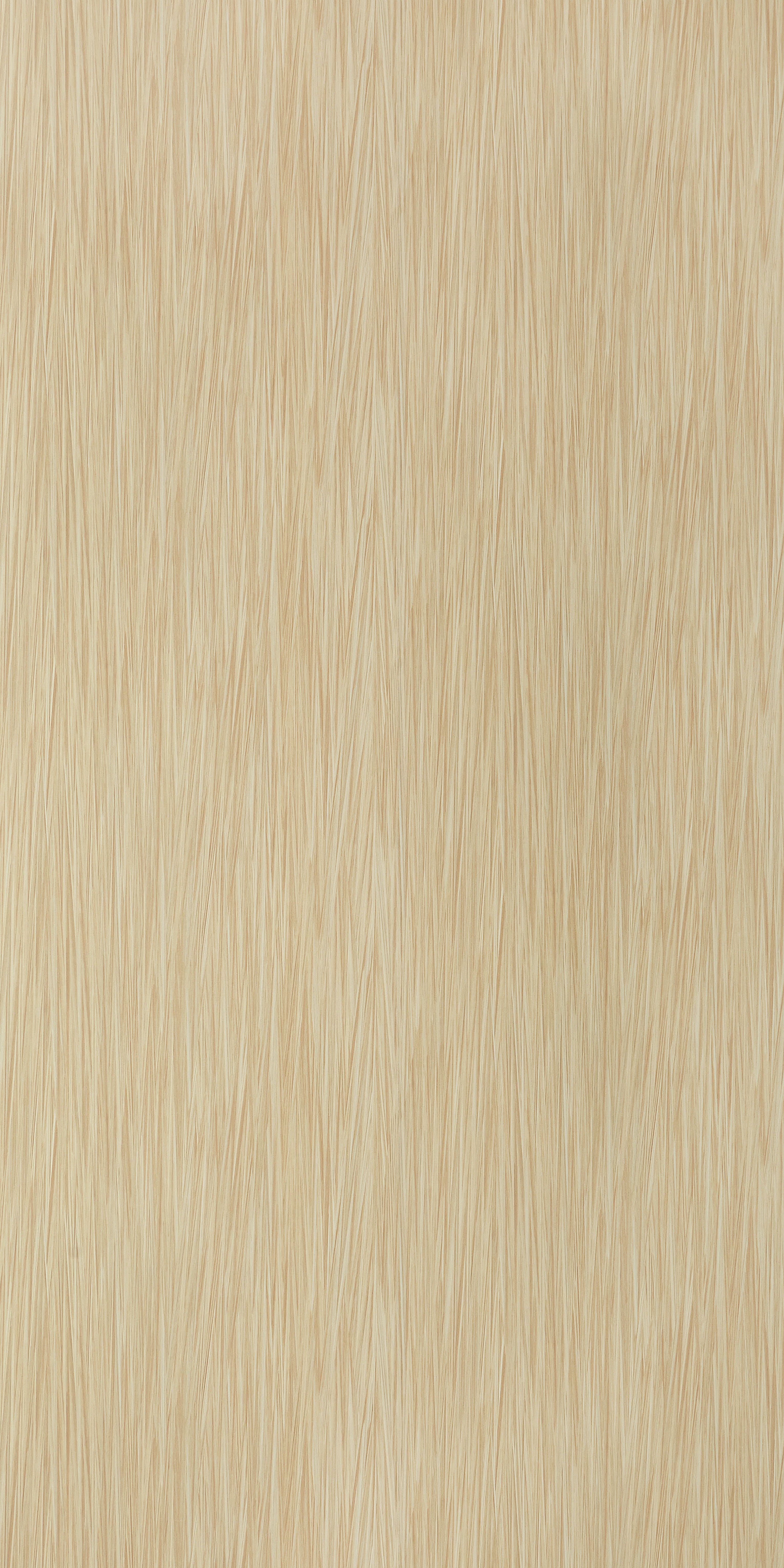 Maple Strand