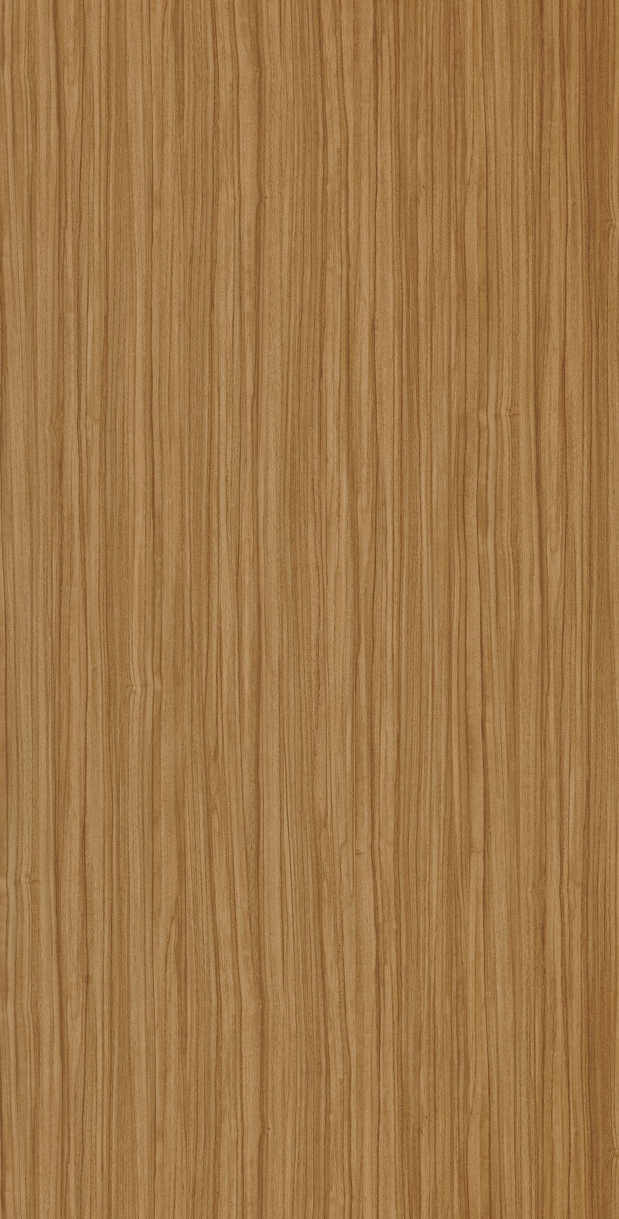 American Walnut