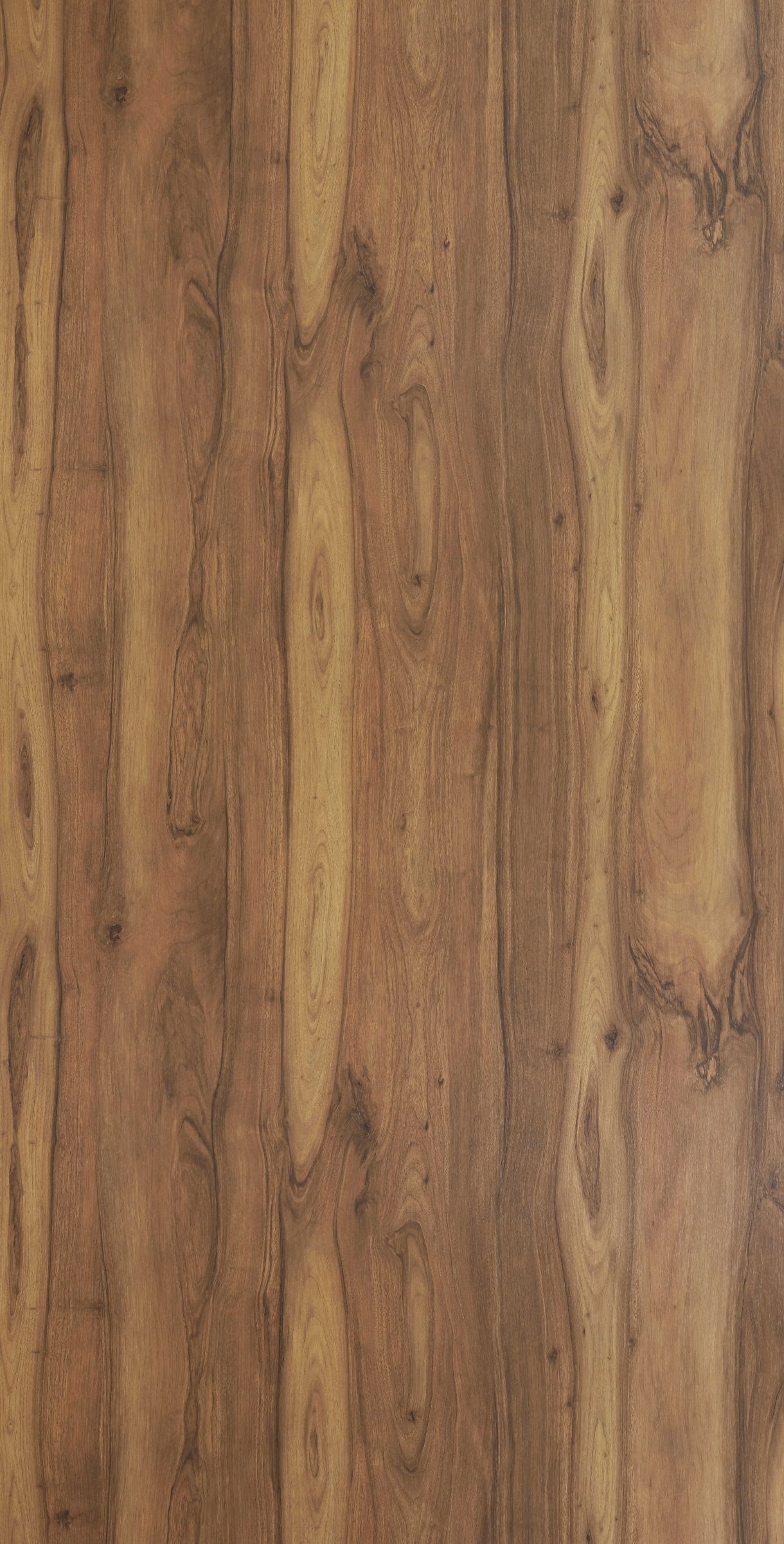 Bold Walnut