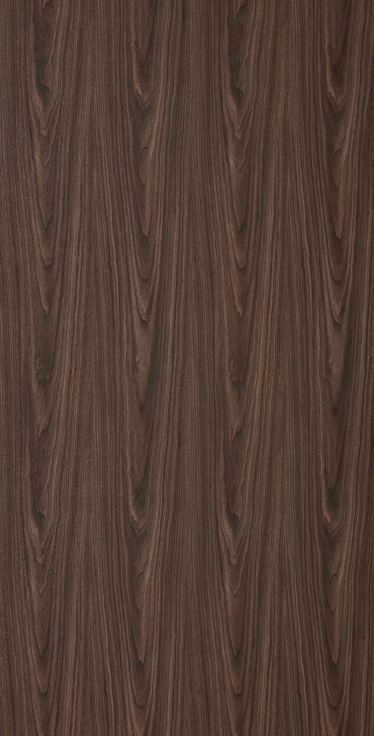 Montana Walnut