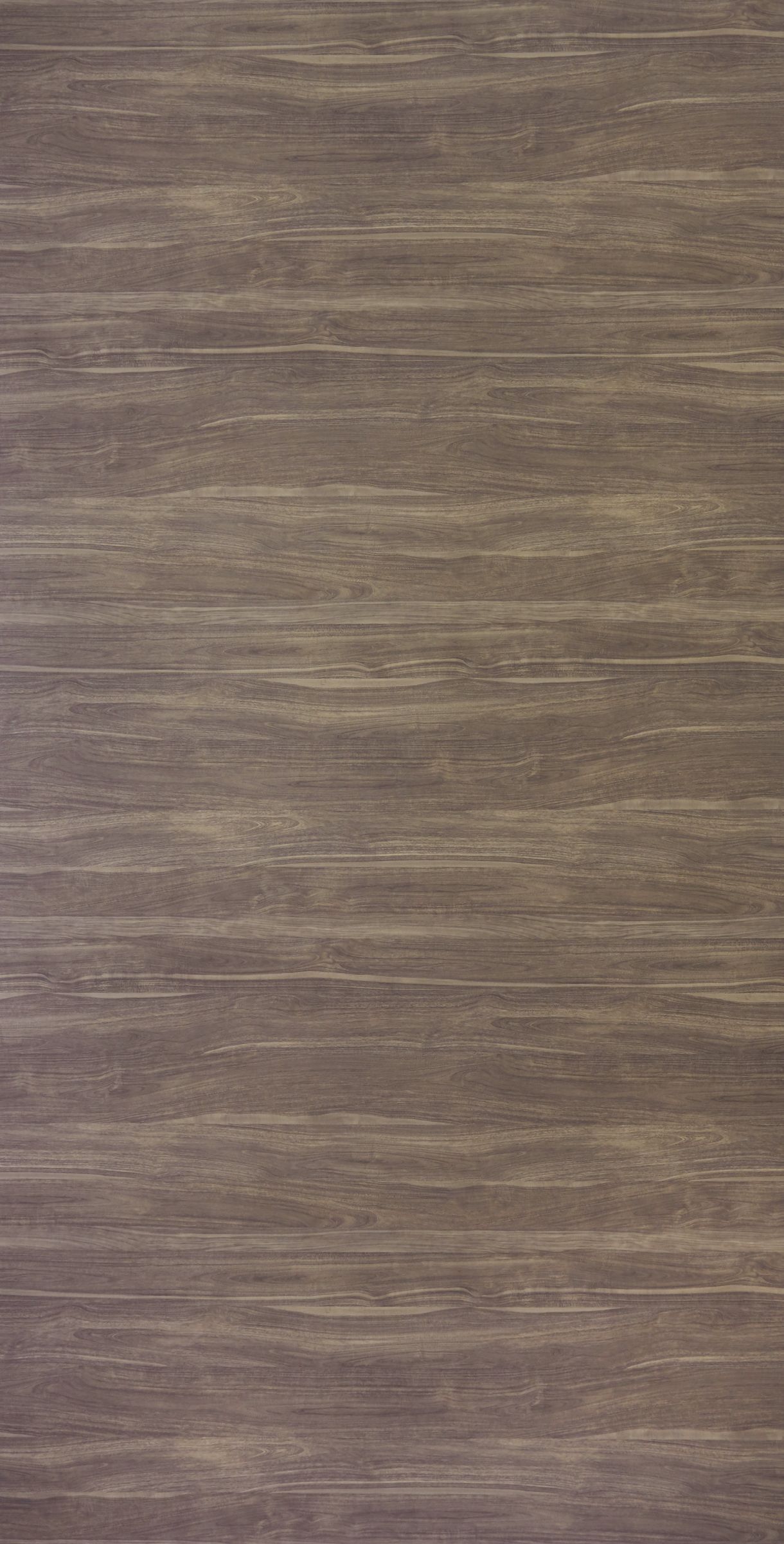 Bonheur Sakura Beige