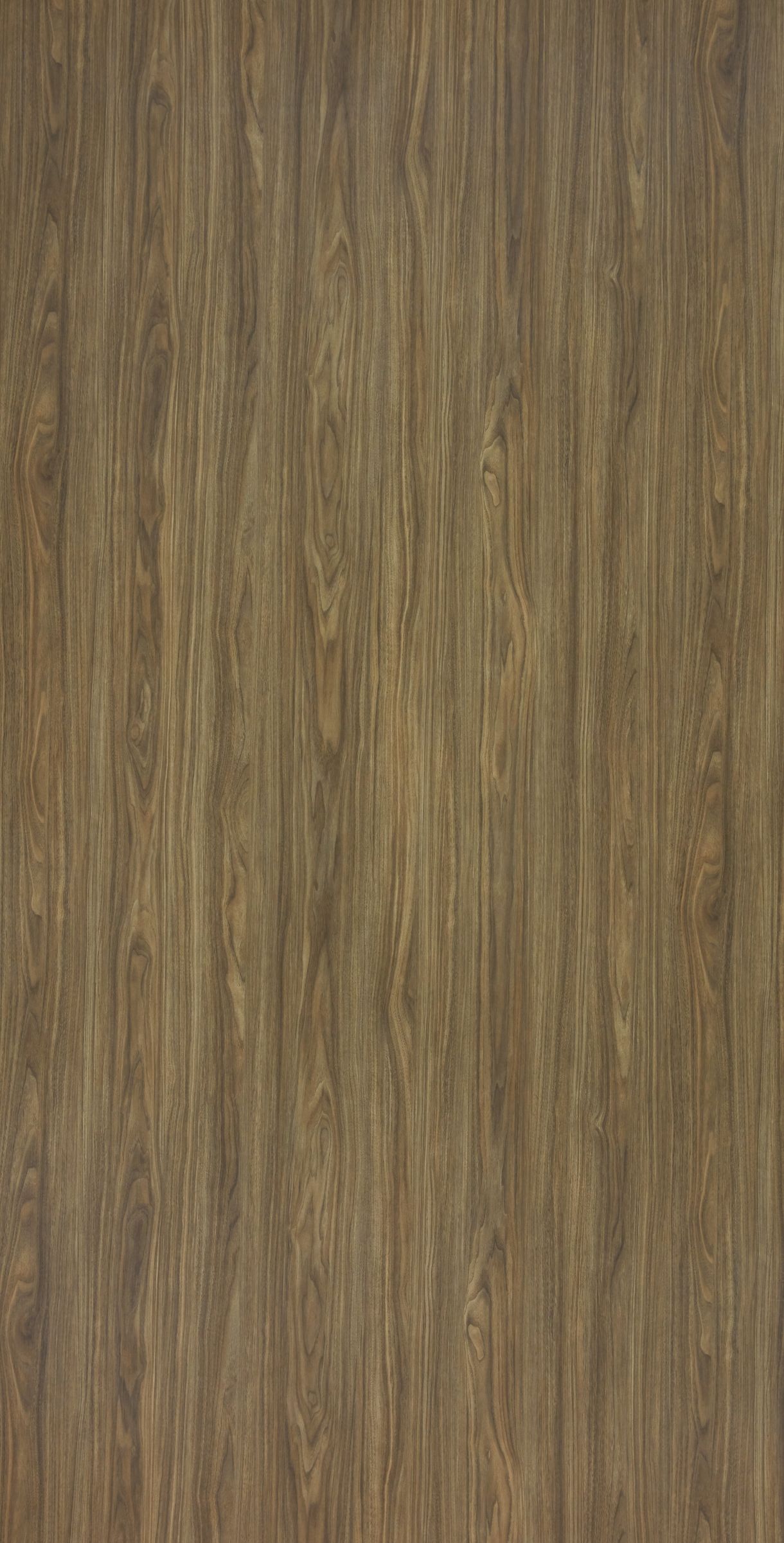 Toro Walnut