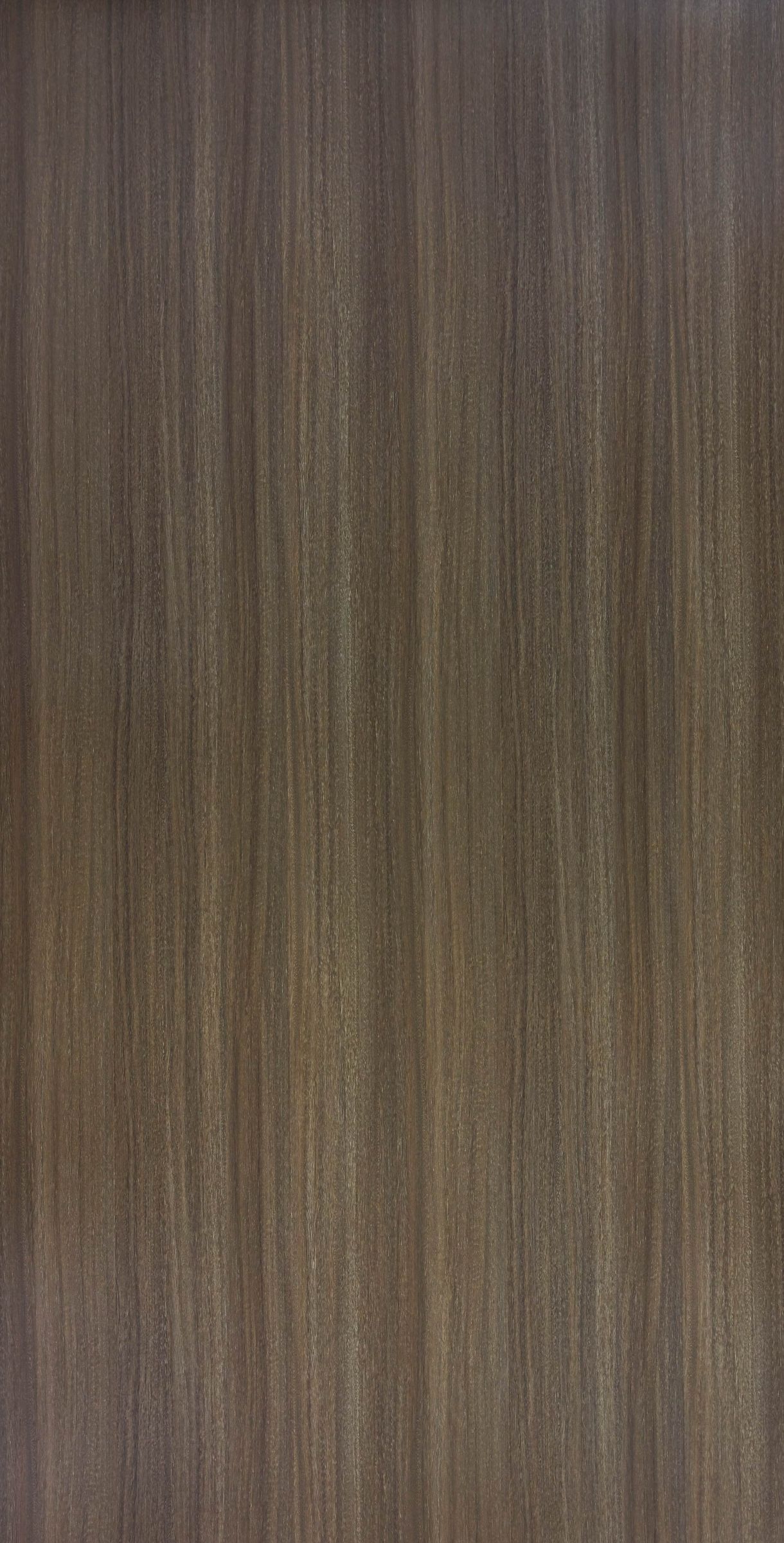 Eucalyptus