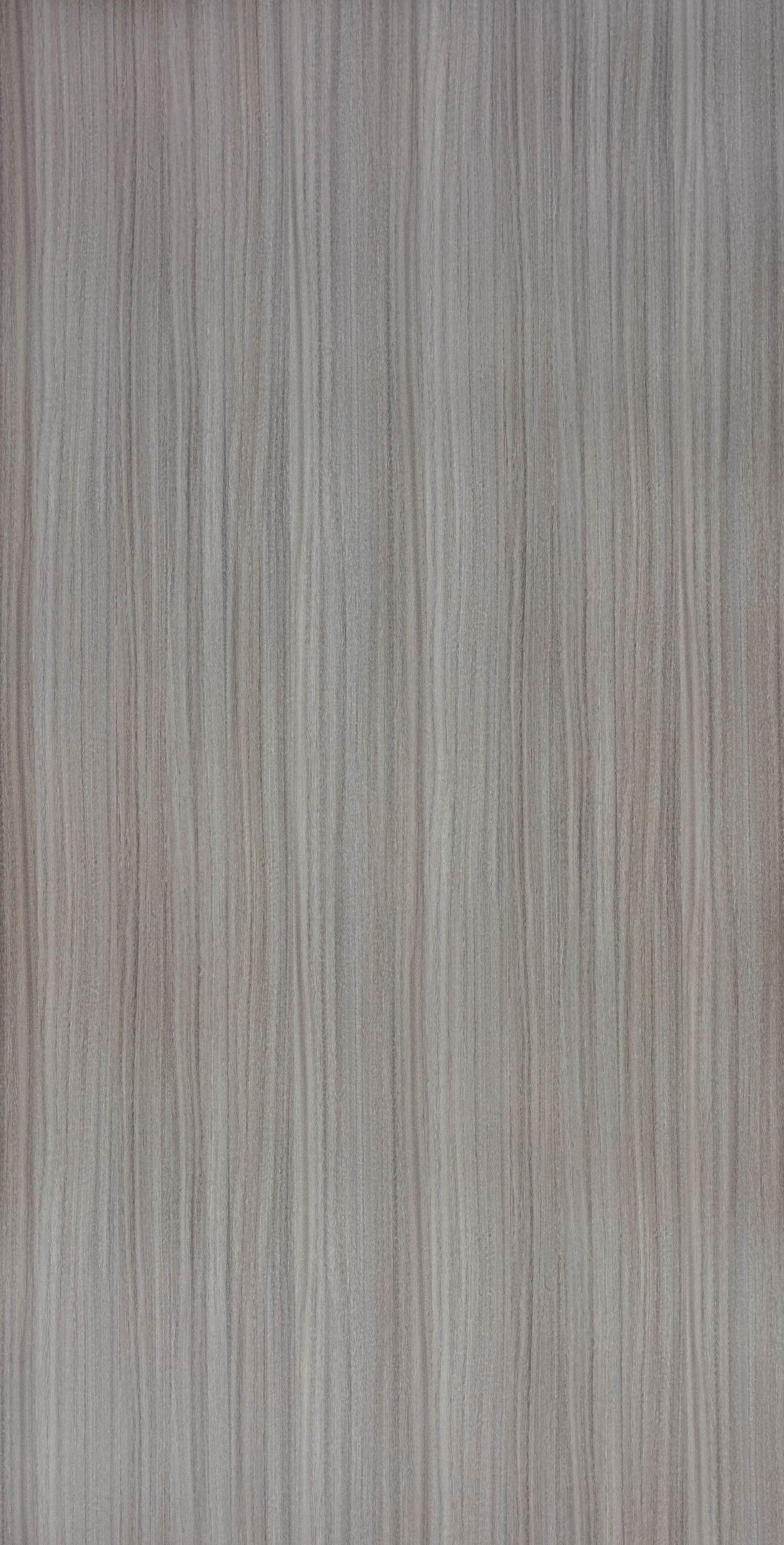 Grey Eucalyptus