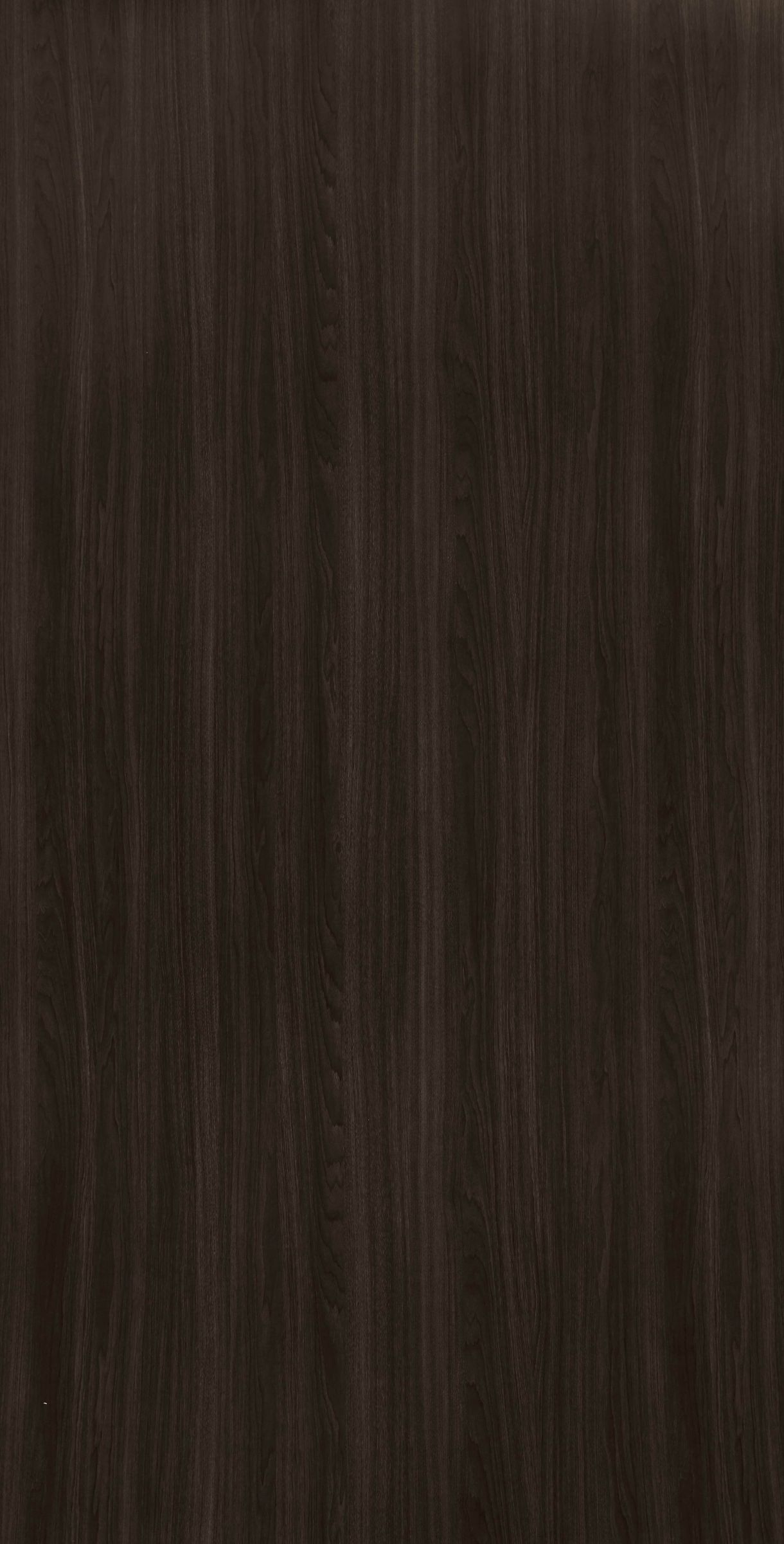 Lyon Walnut