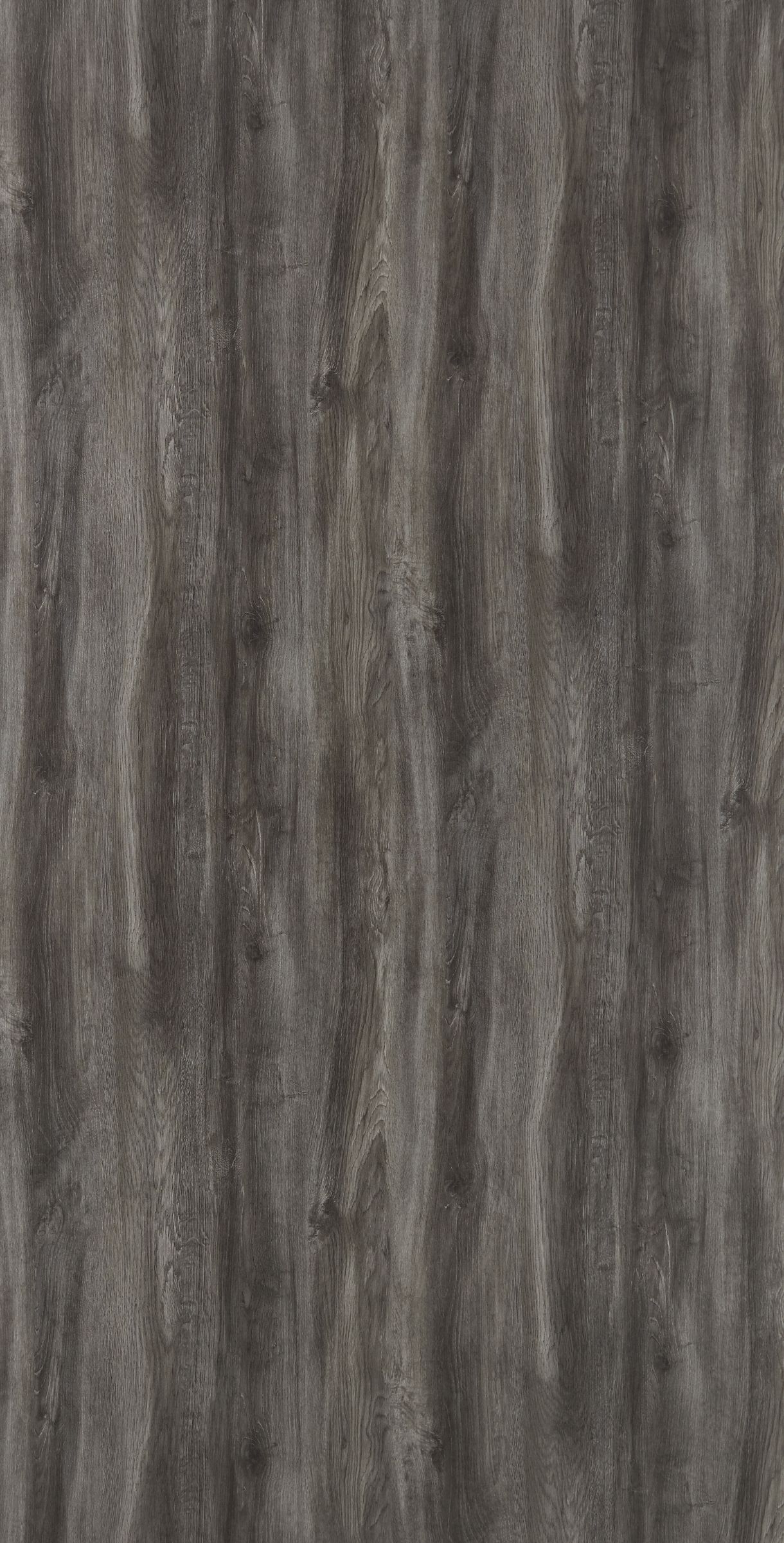 Fiyoari Oak