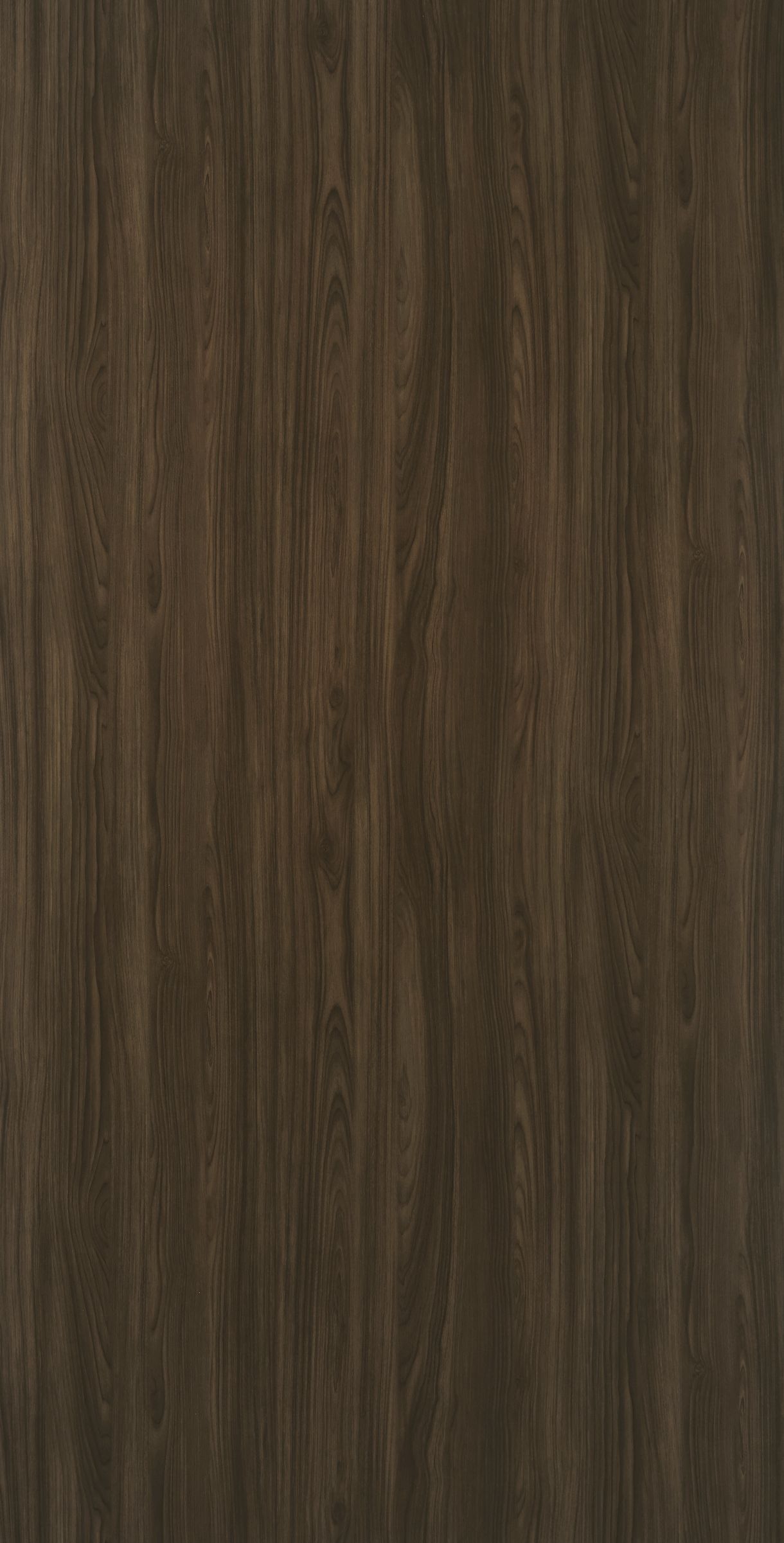 Nussbaum Walnut