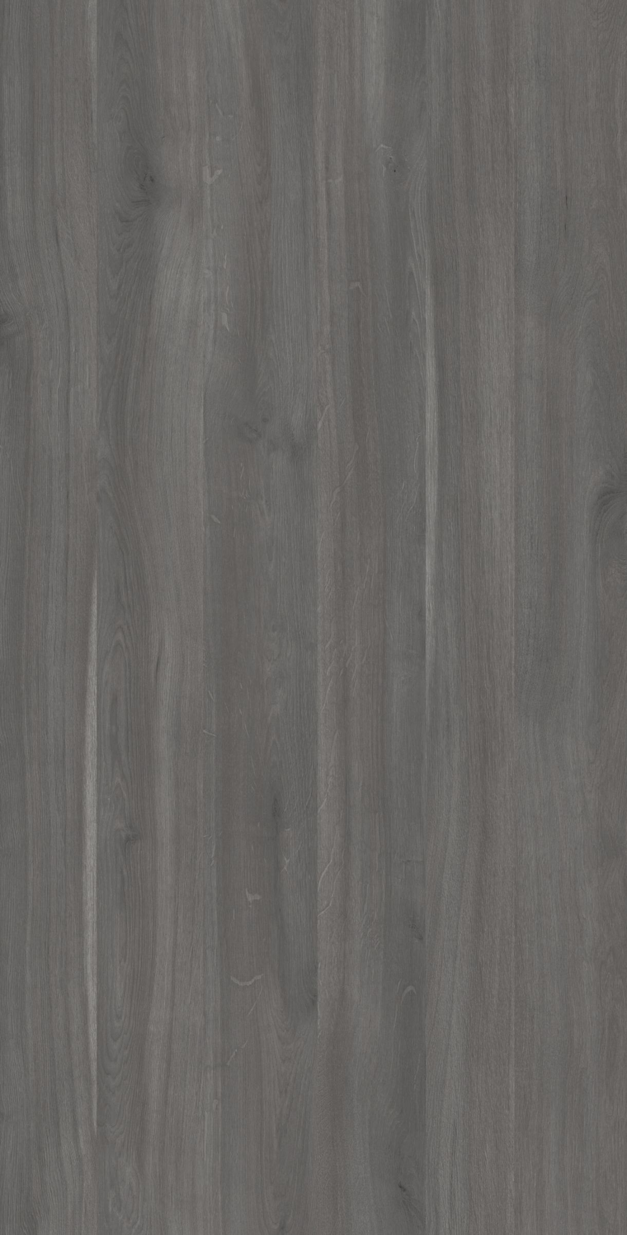 Grey Auerbach Oak
