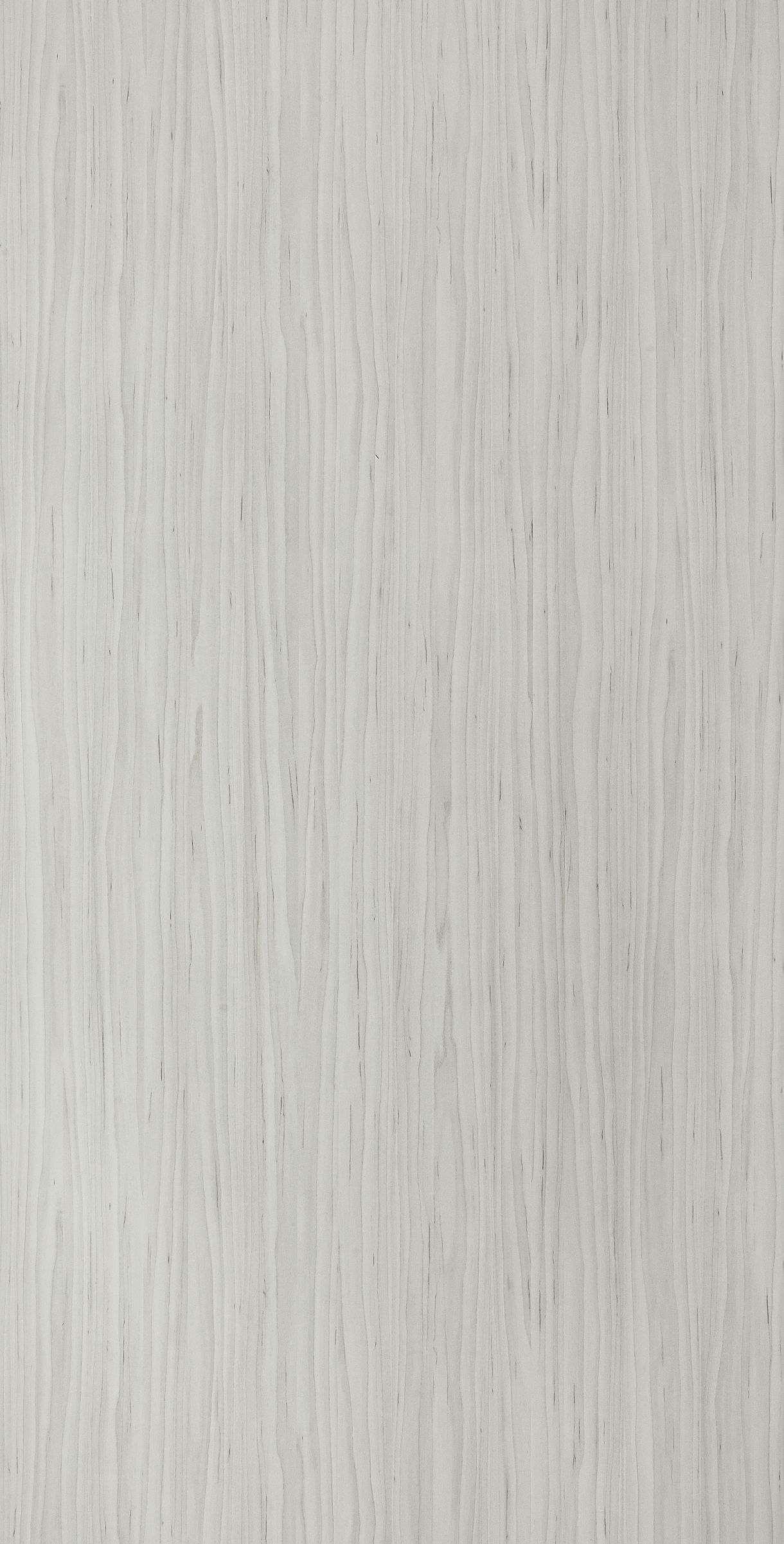 Sylvan Maple