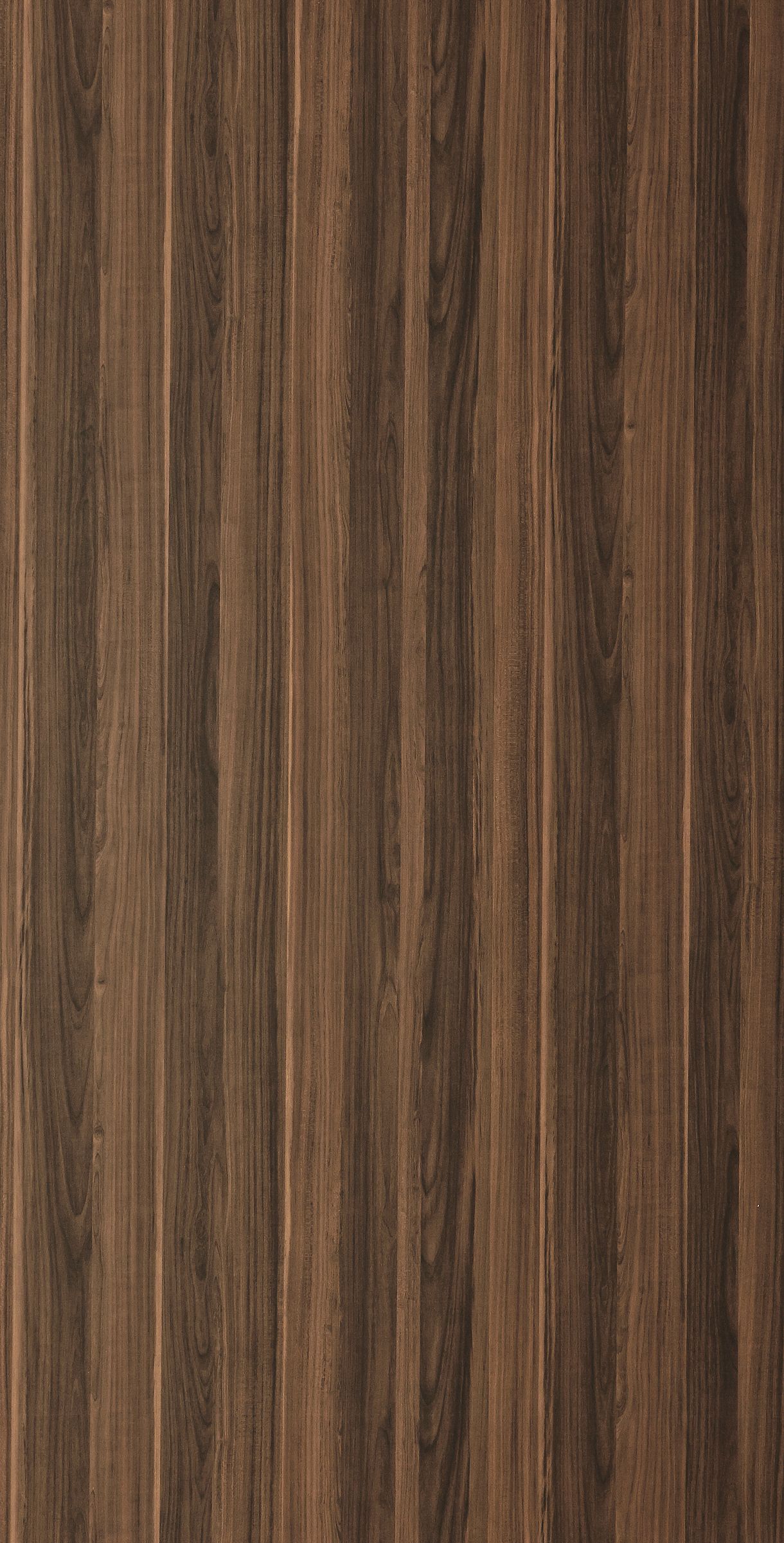 Bounty Plum