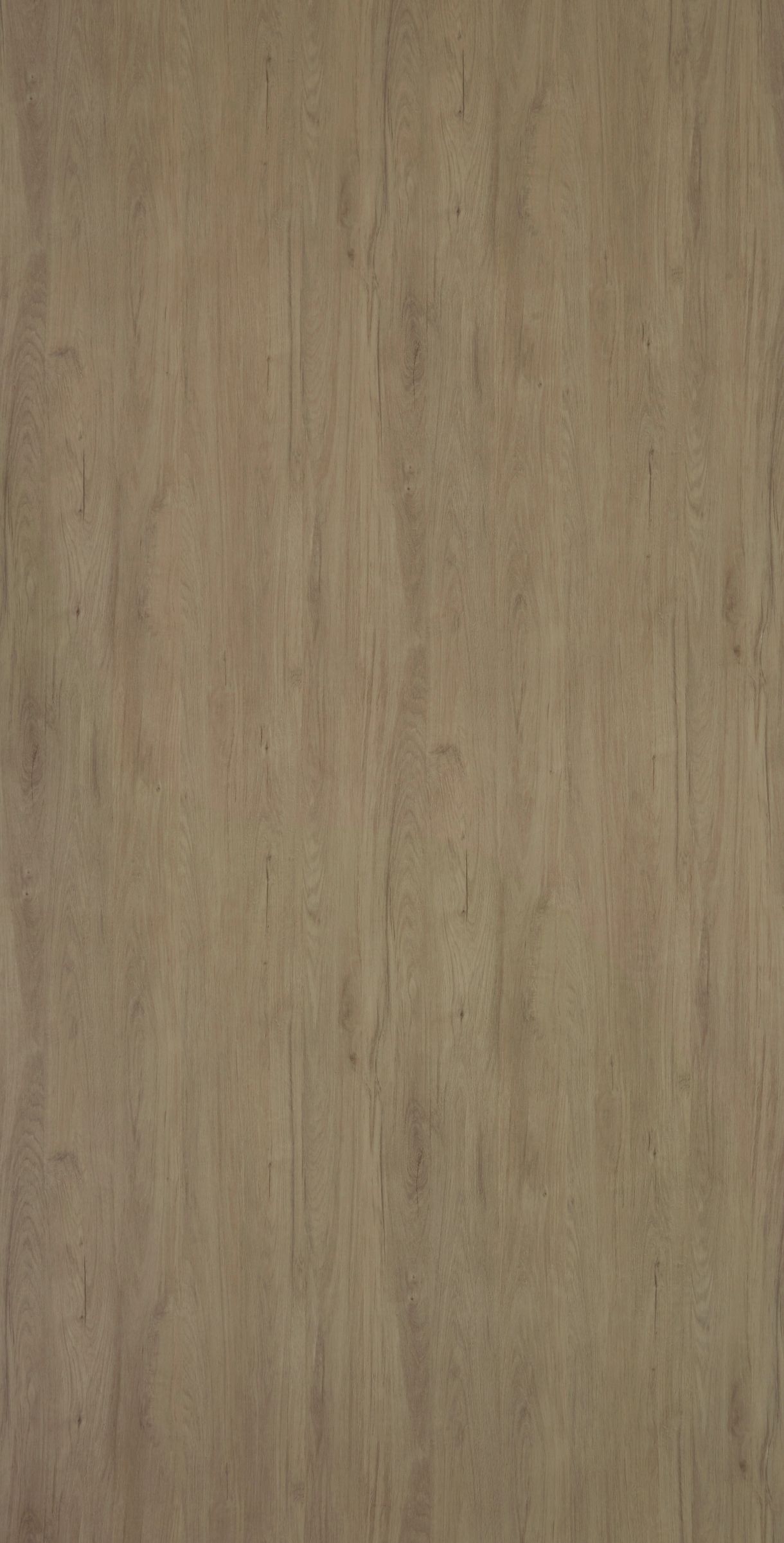 Bohemian Oak