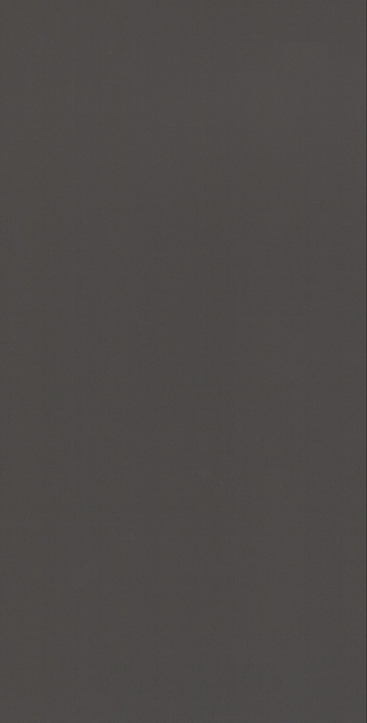 Skagen Braun-MoMa