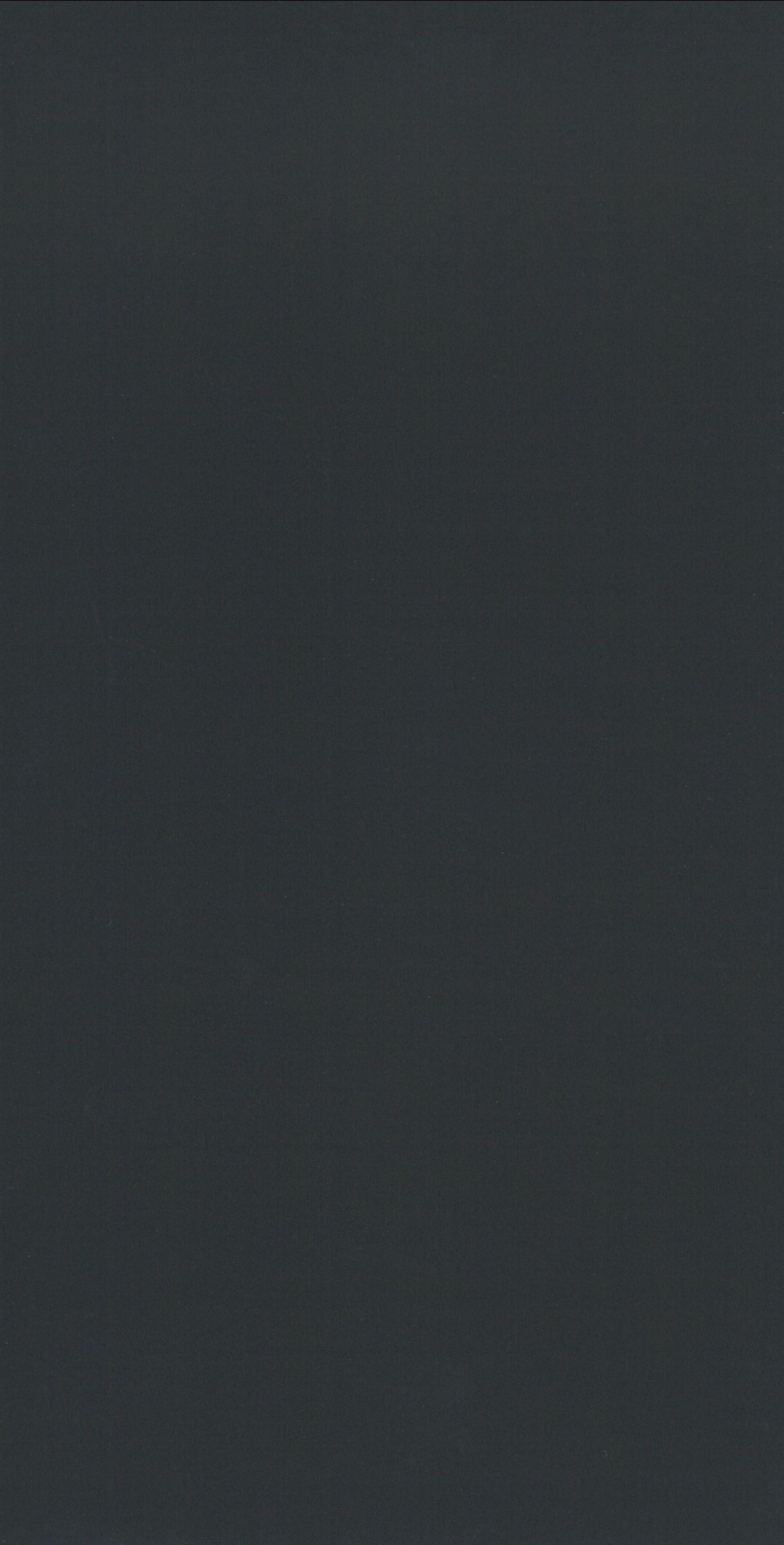 Vik Schwarz-MoMa (10Ft)