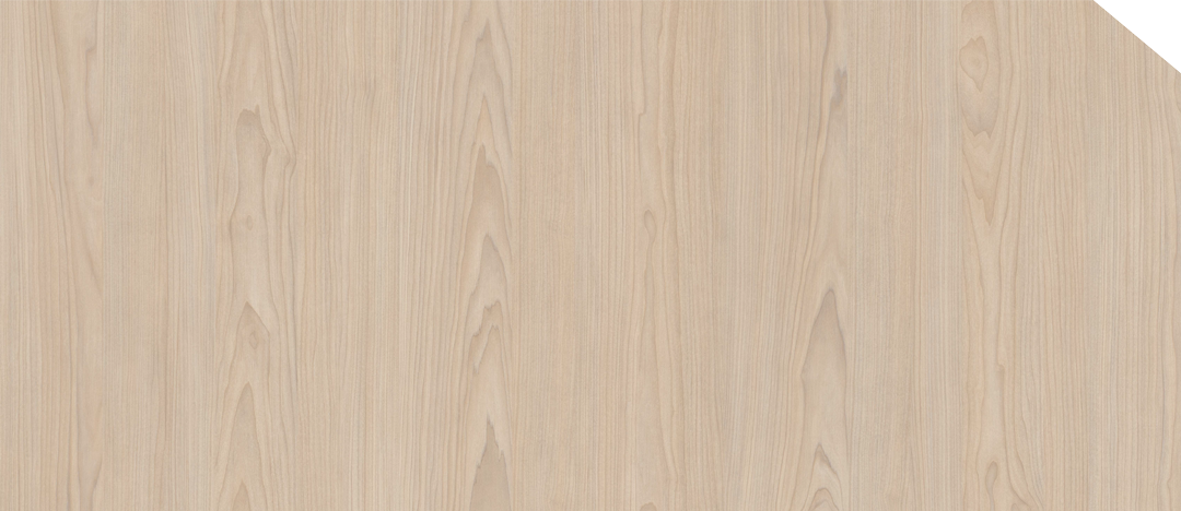 Macquarie Maple