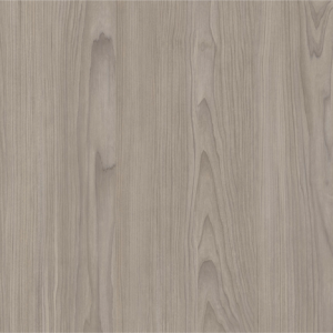 Grey Macquarie Maple