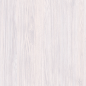 Light Shagbark Hickory