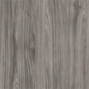 Grey Shagbark Hickory