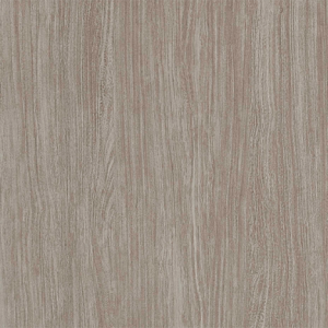Arizona Elm