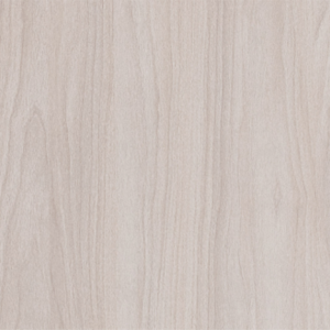 Neutral Katovik Noce