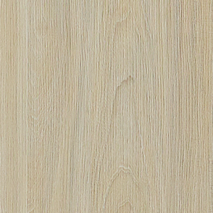 White Elm