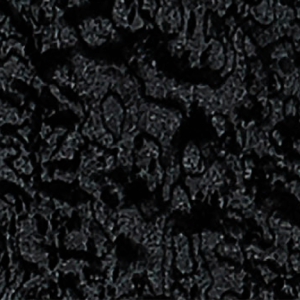 Black Pearl Birdeye