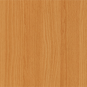 Virginia Beech