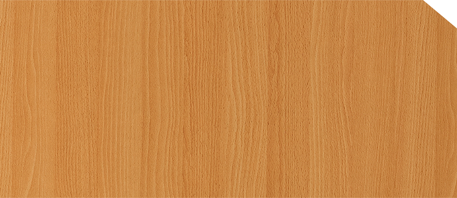 Virginia Beech
