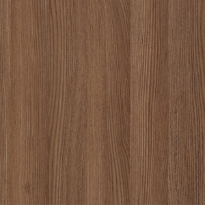 Urban Elm