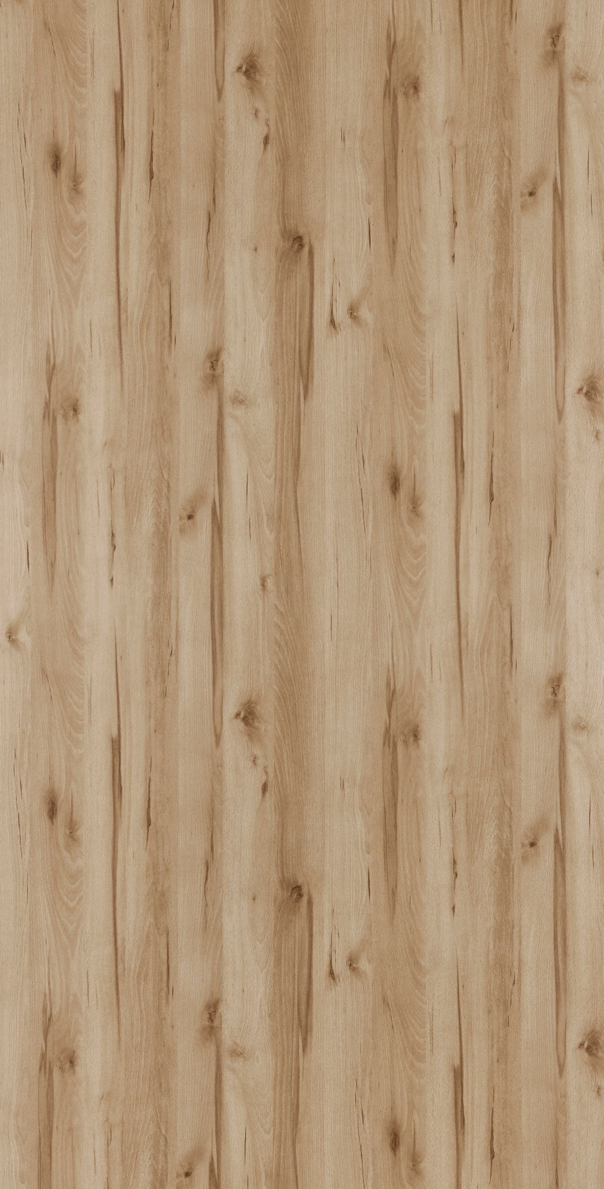 Country Beech