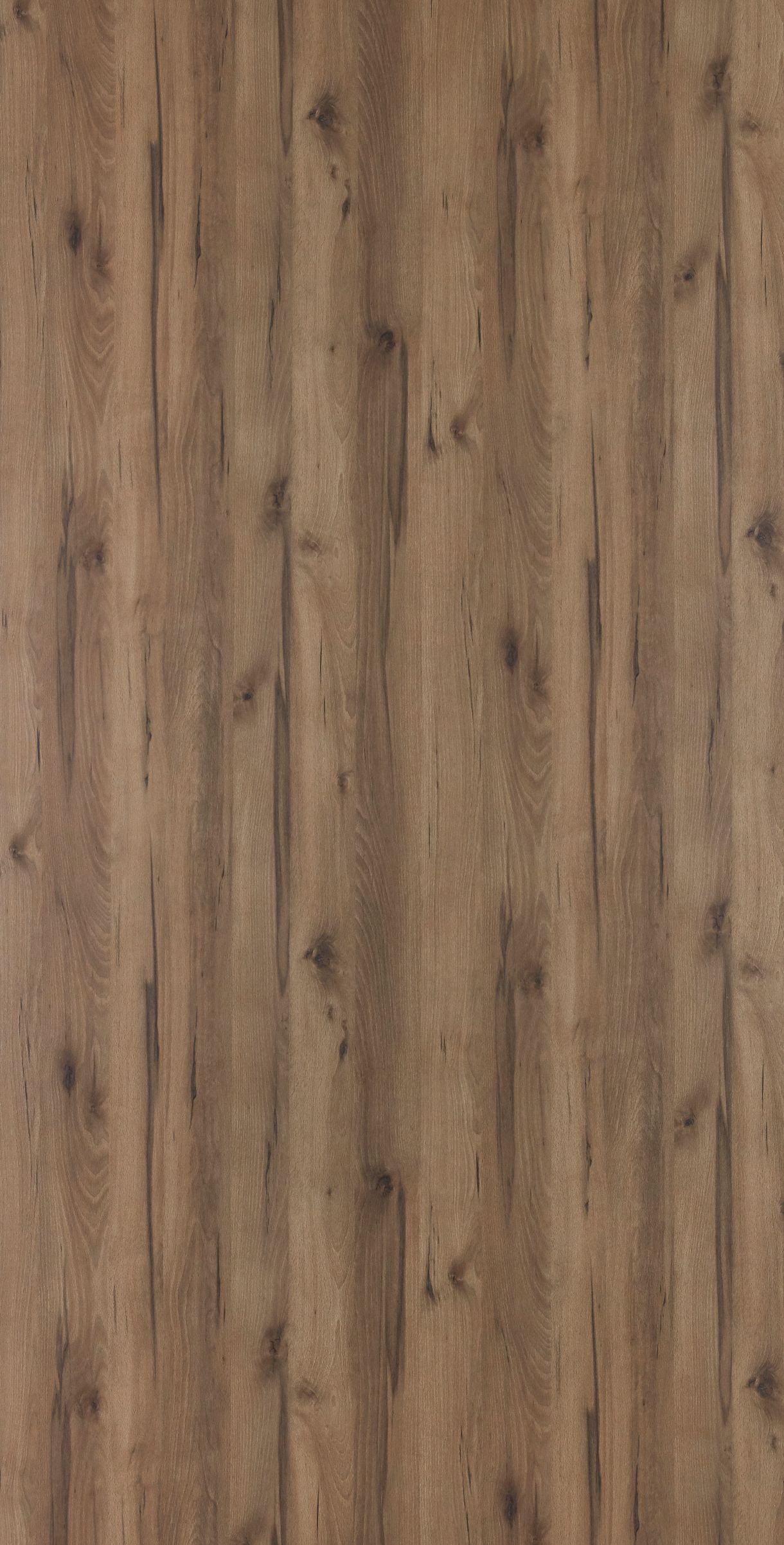 Dark Country Beech