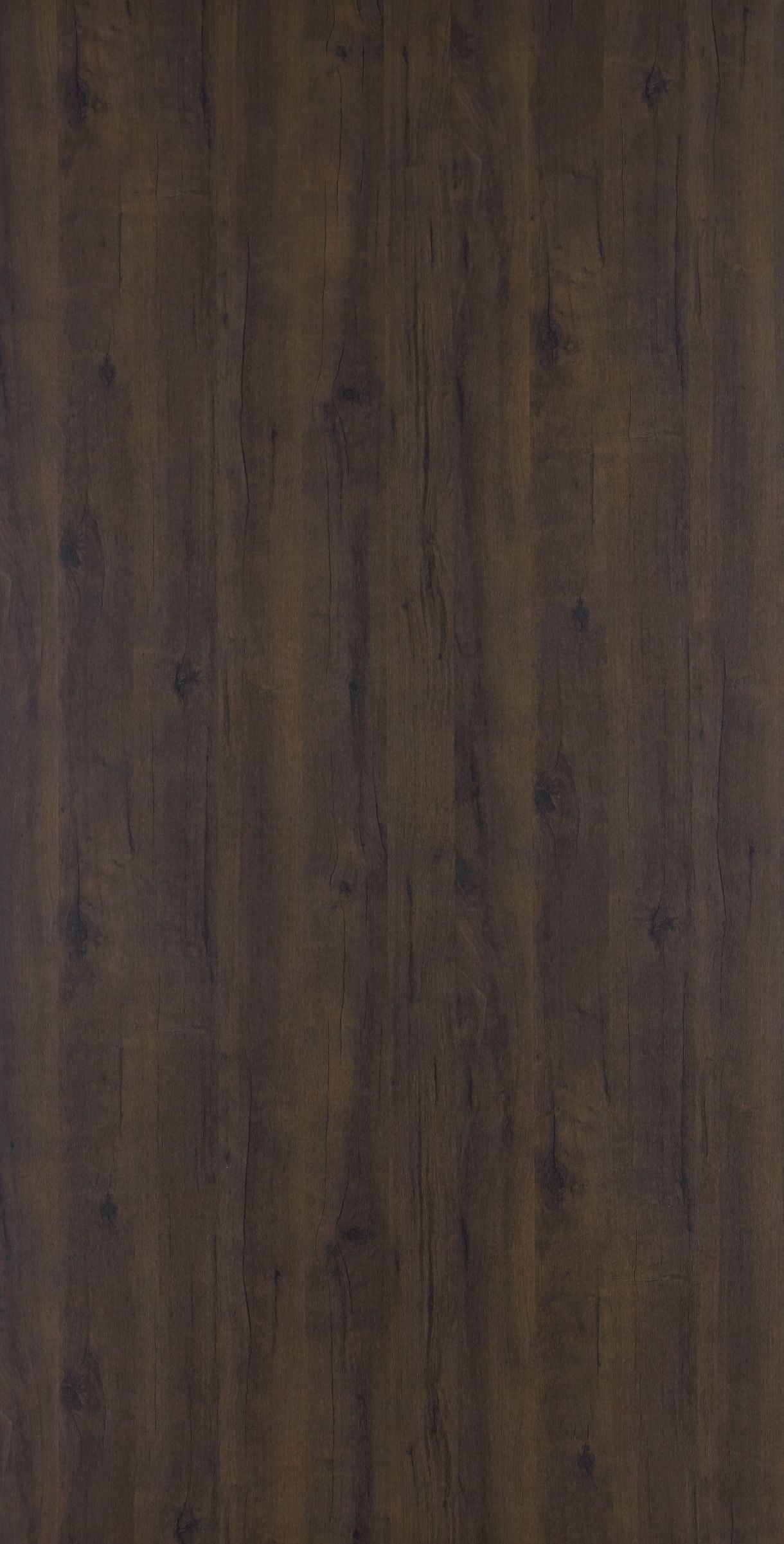 Fox Walnut