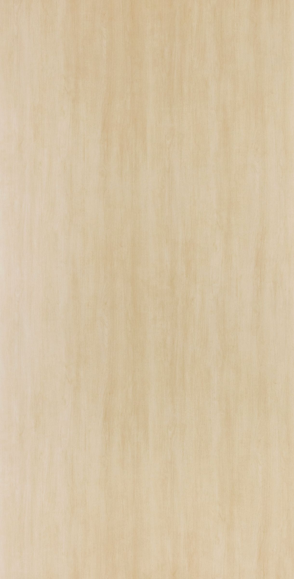 Light Loft Birch