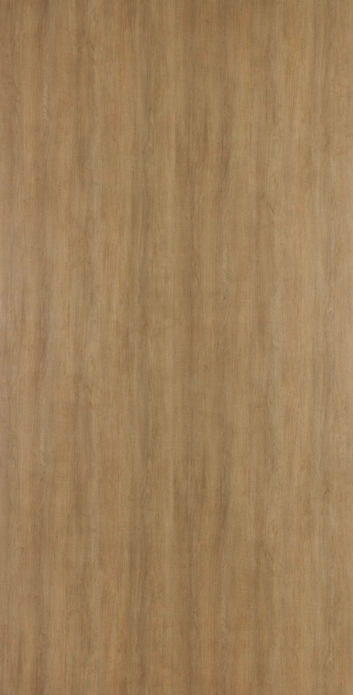 Loft Birch