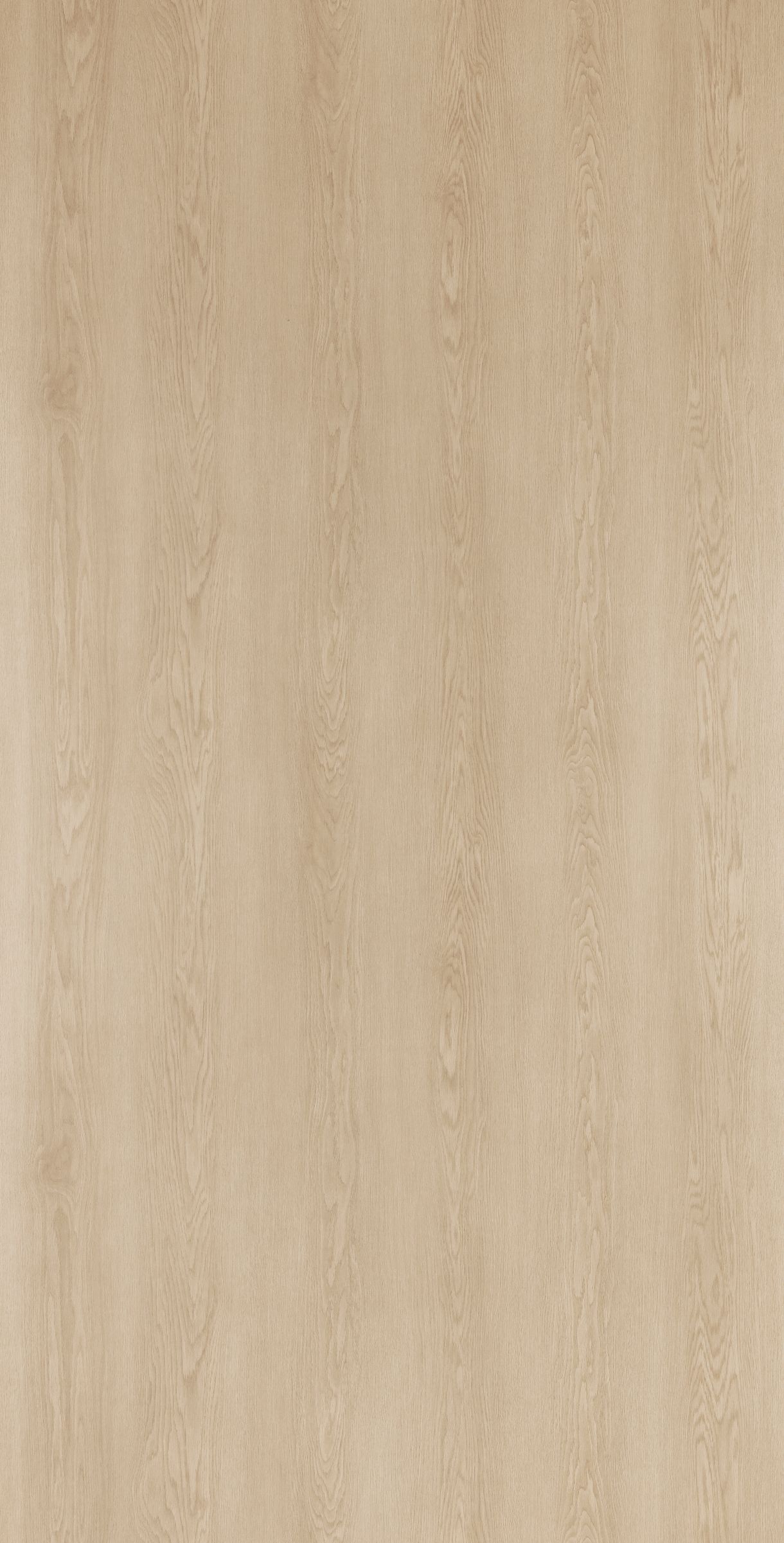 Reims Oak