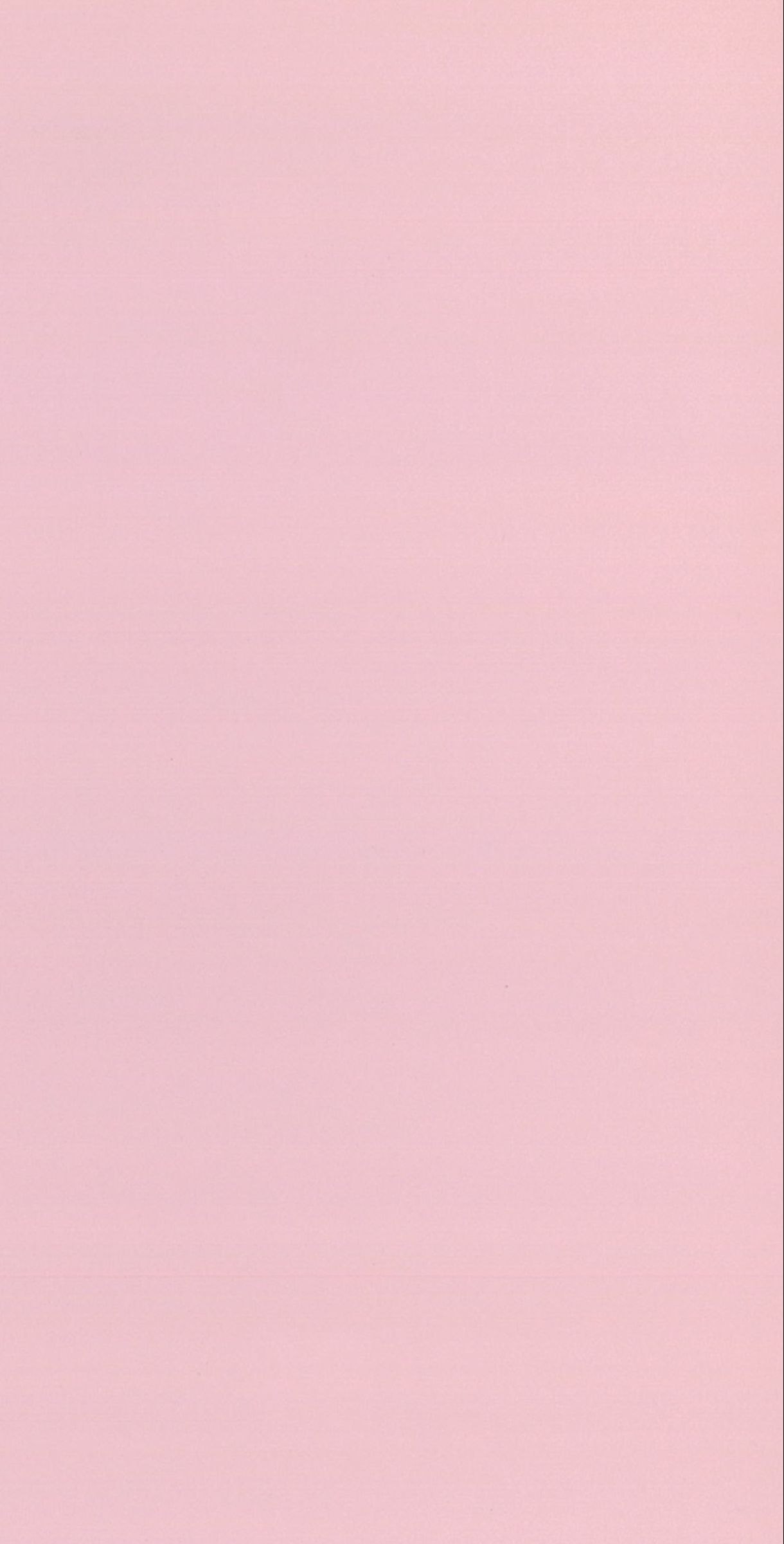 Macaron