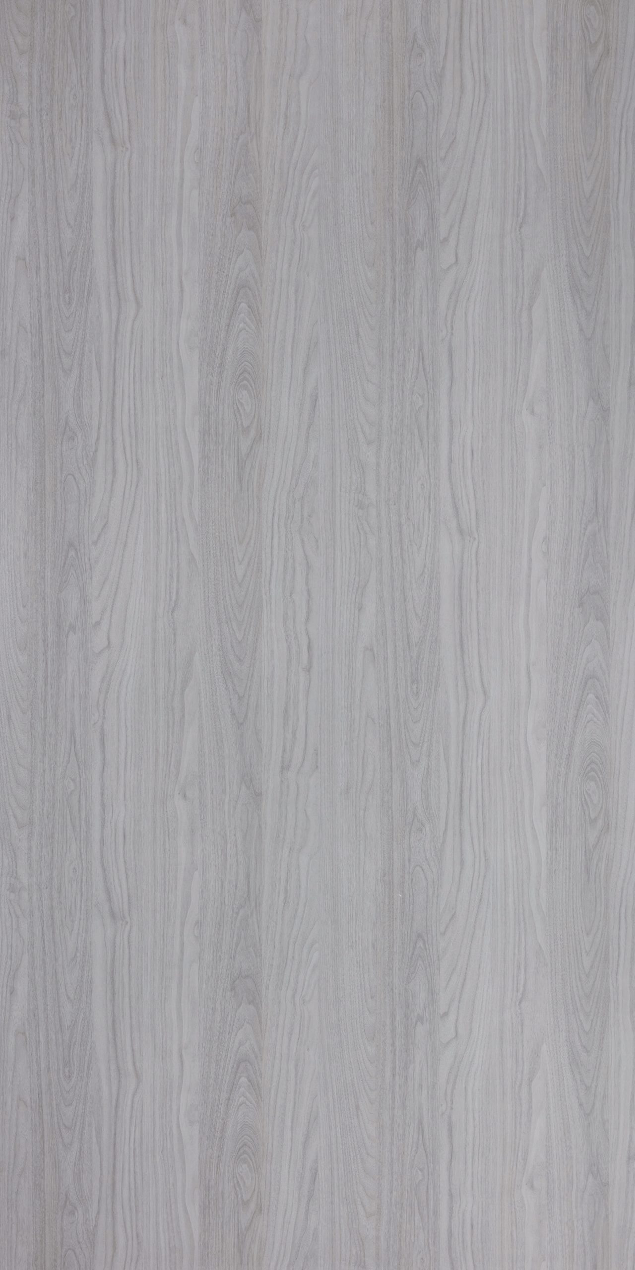 Chilean Walnut
