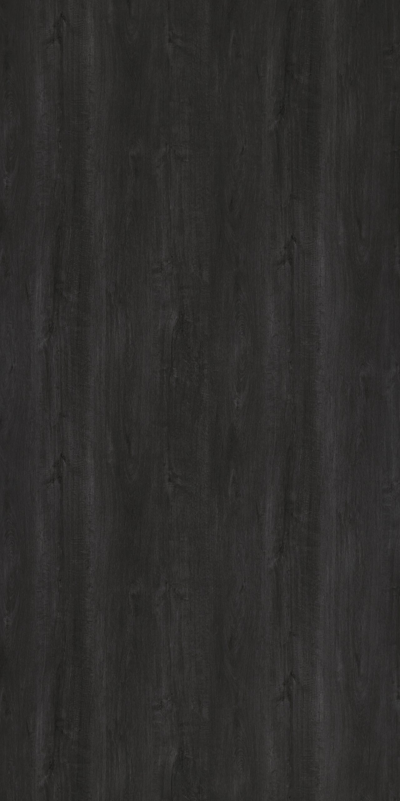 Serra Oak
