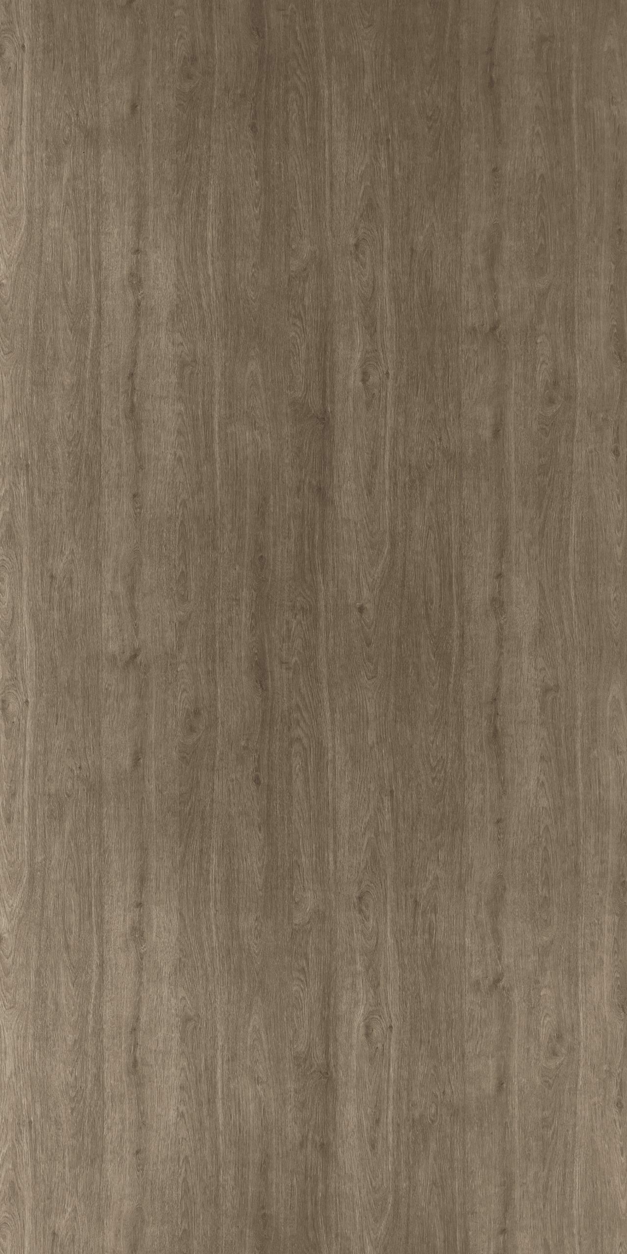 Durini Oak