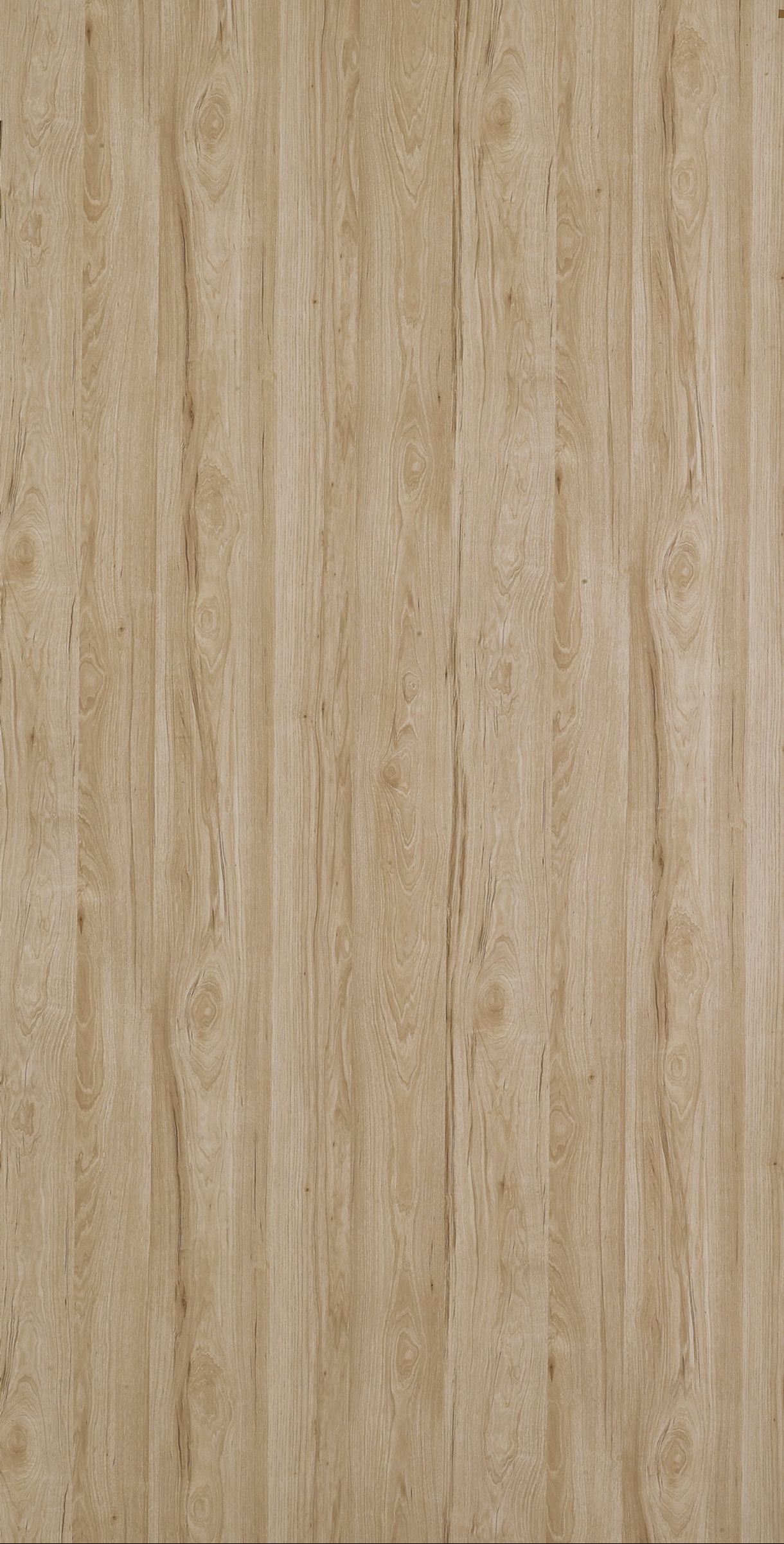 Hickory Light