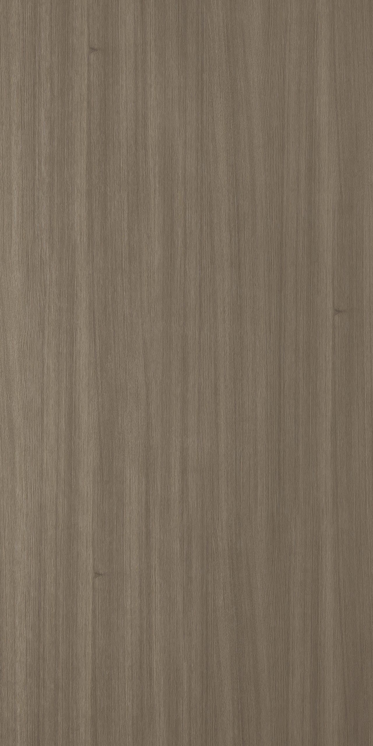 Legarto Oak