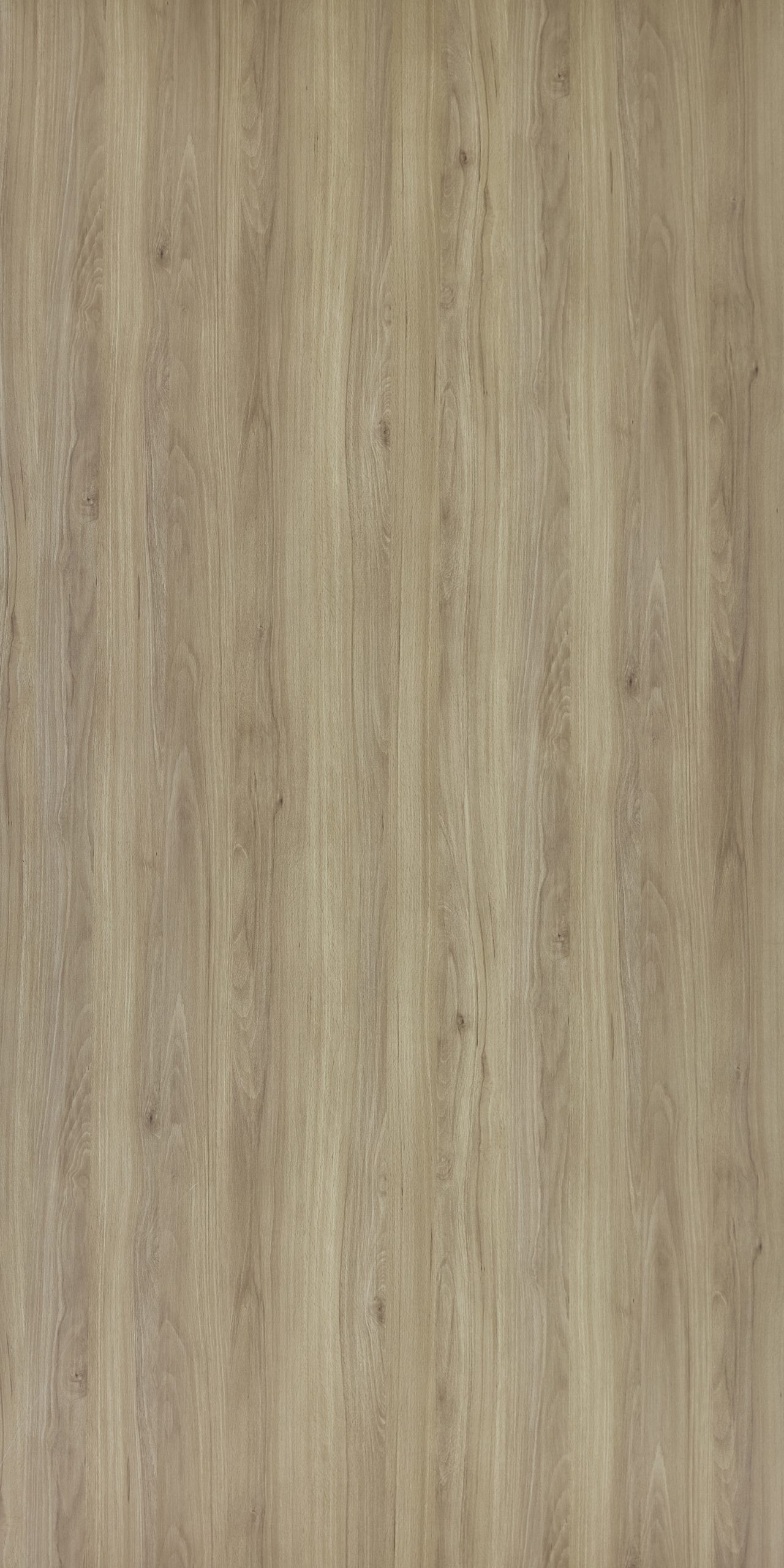 Levo Beech