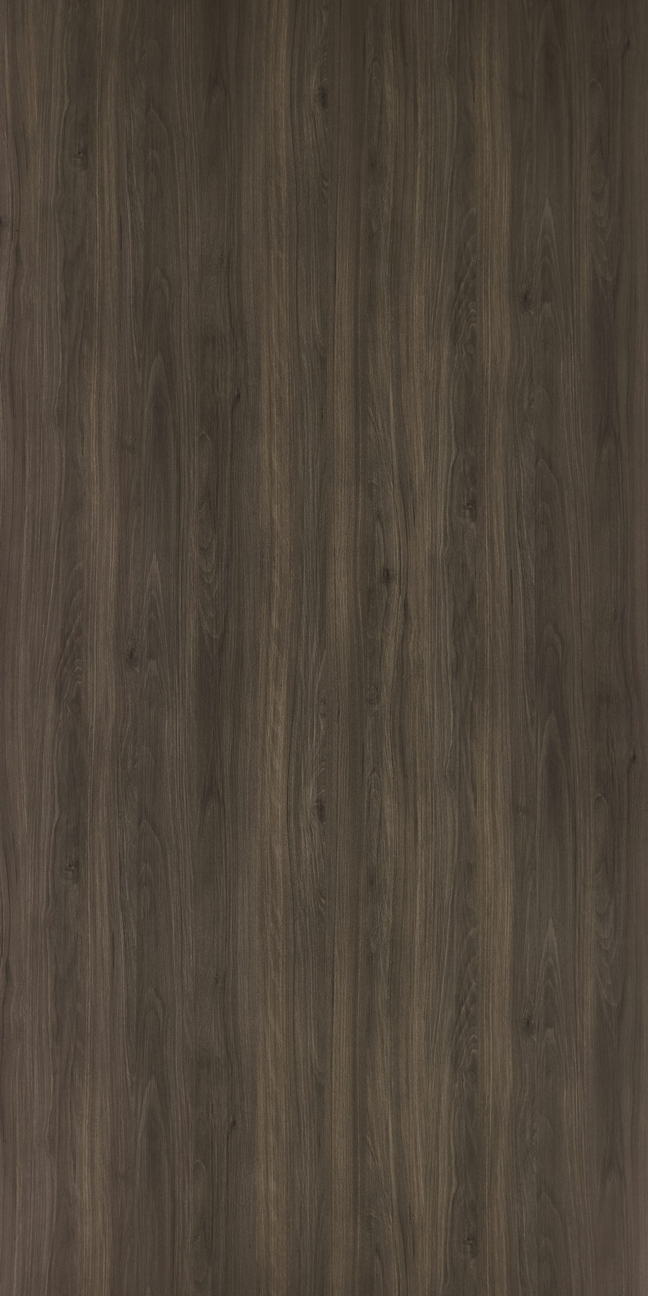 Dark Levo Beech