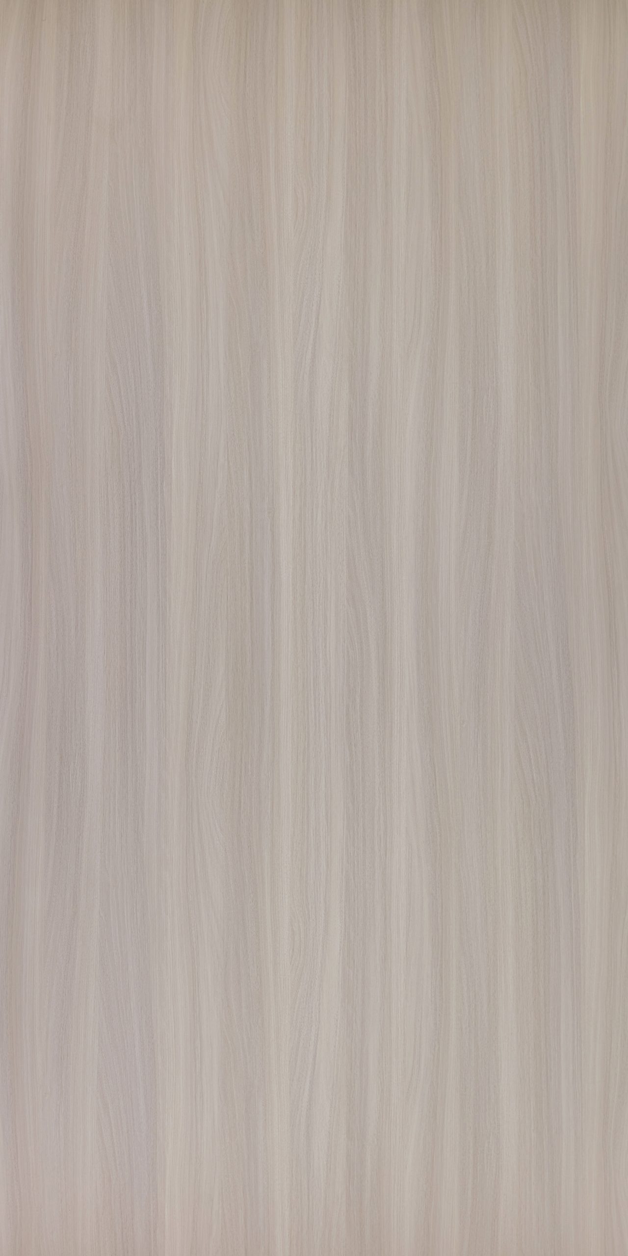Botina Walnut