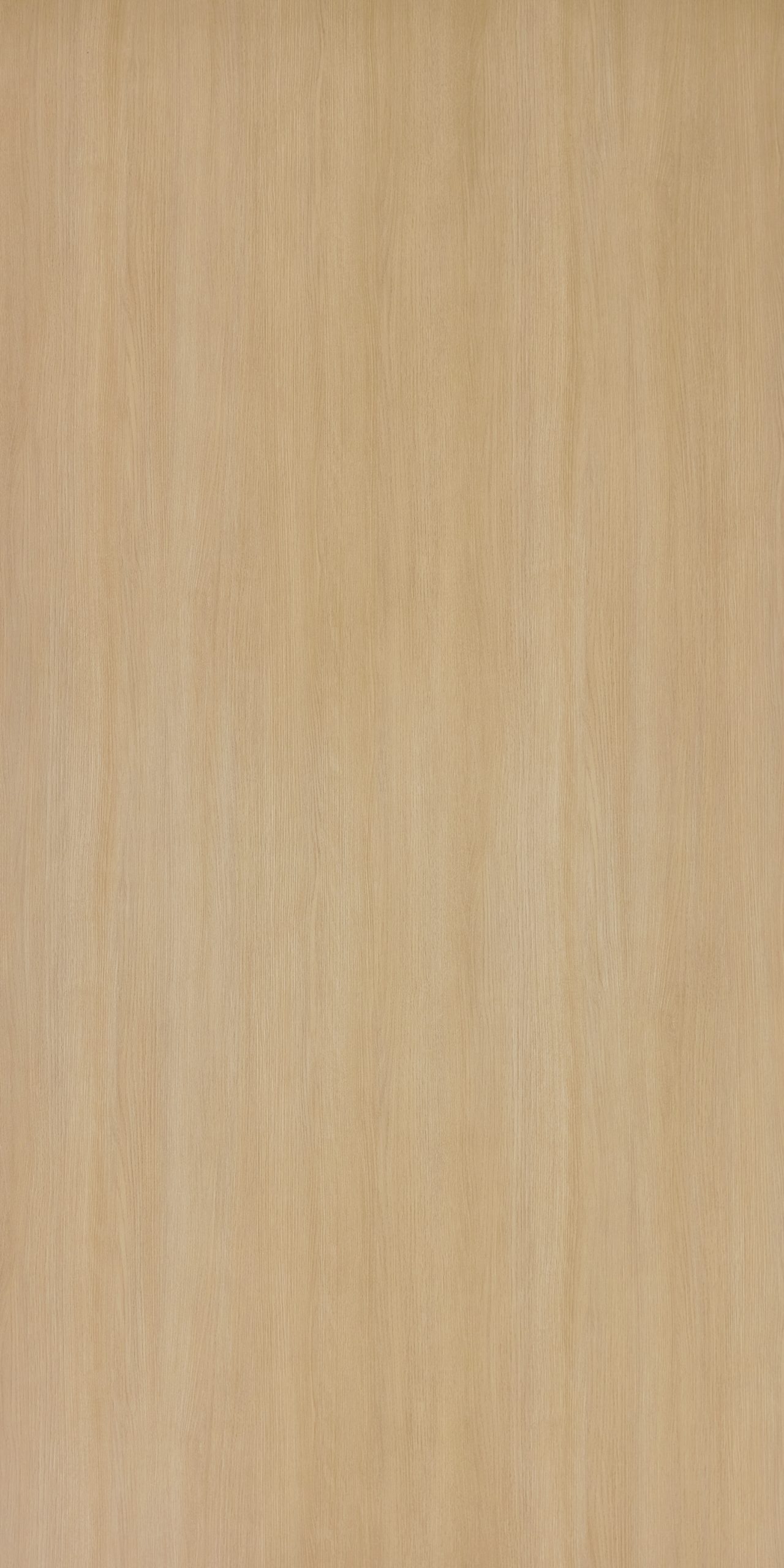Bruno Oak