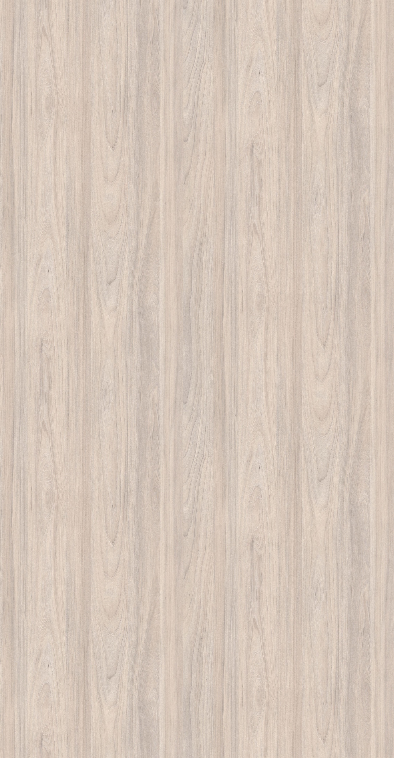 Valley Oak Frost