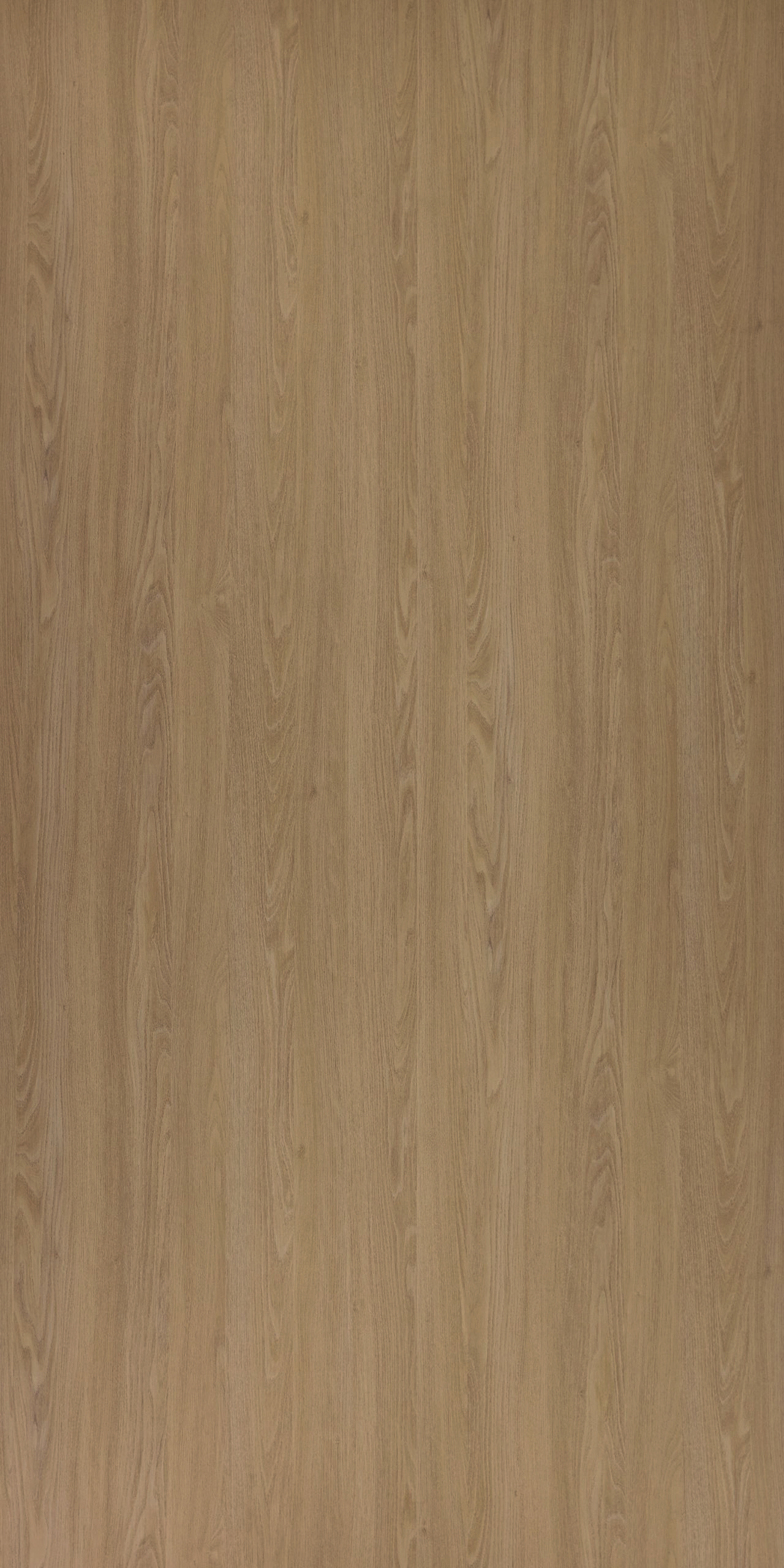 Nature Robinia Dune