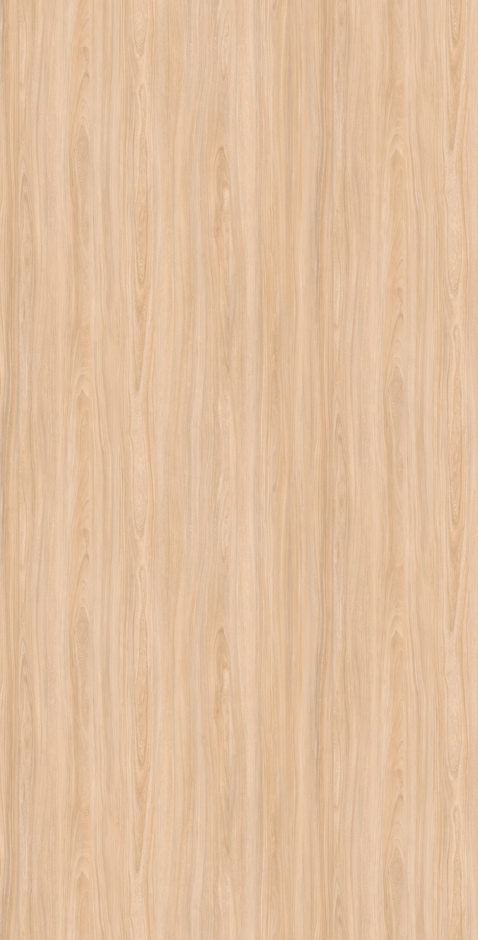 Piazze Elm Yang