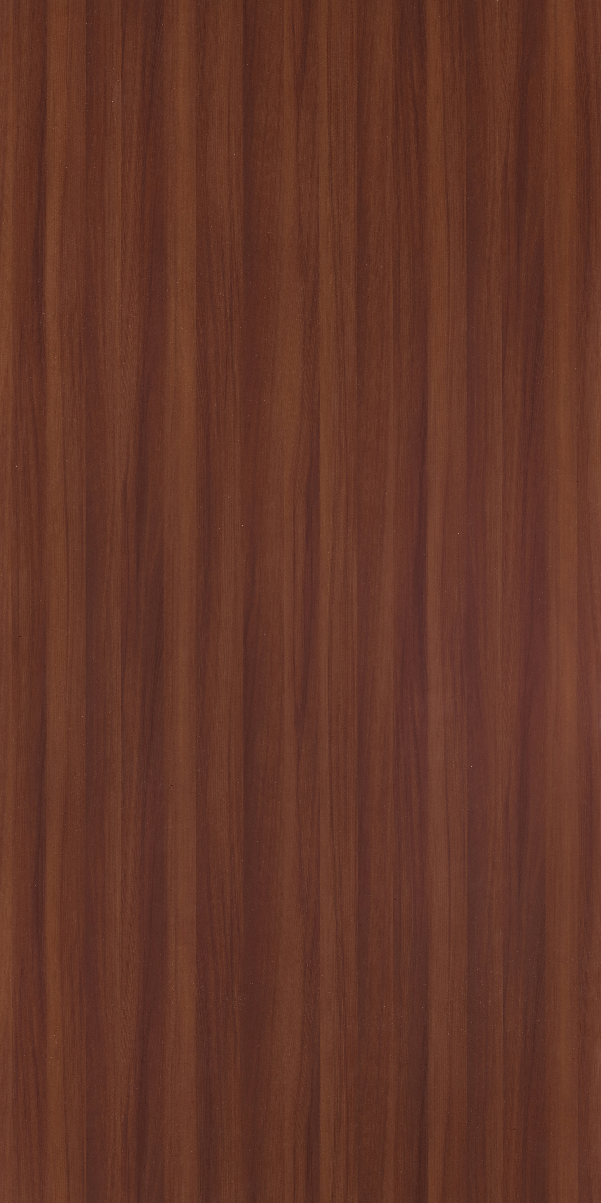 Miyabi Cherry