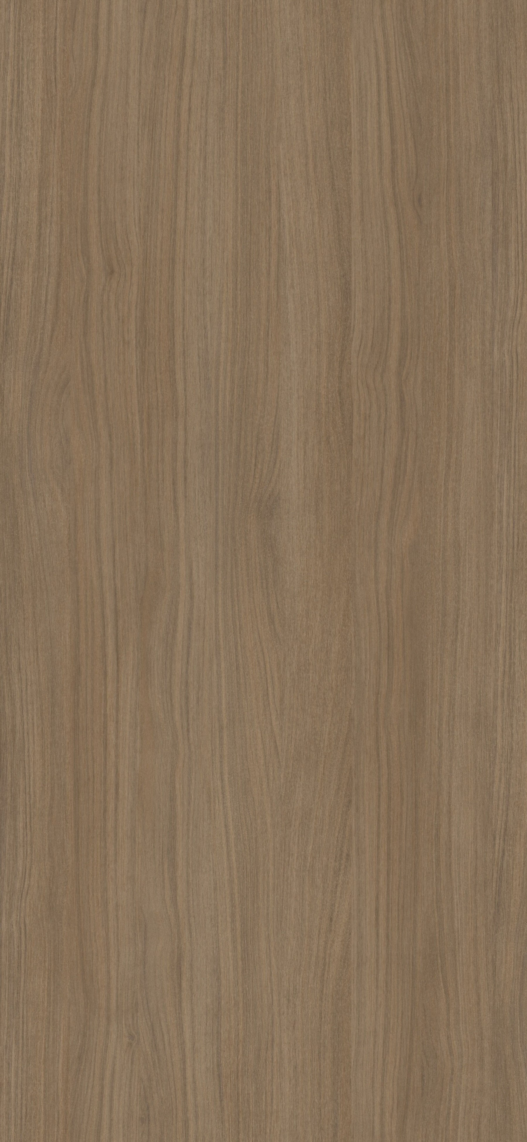 Silea Walnut Sable